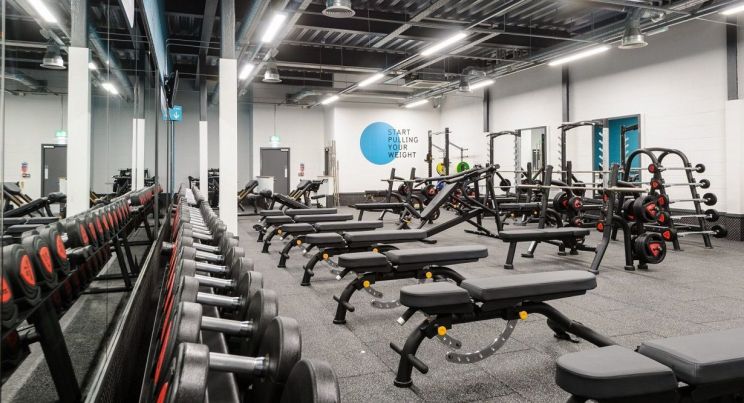 Gimnasio musculacion sales