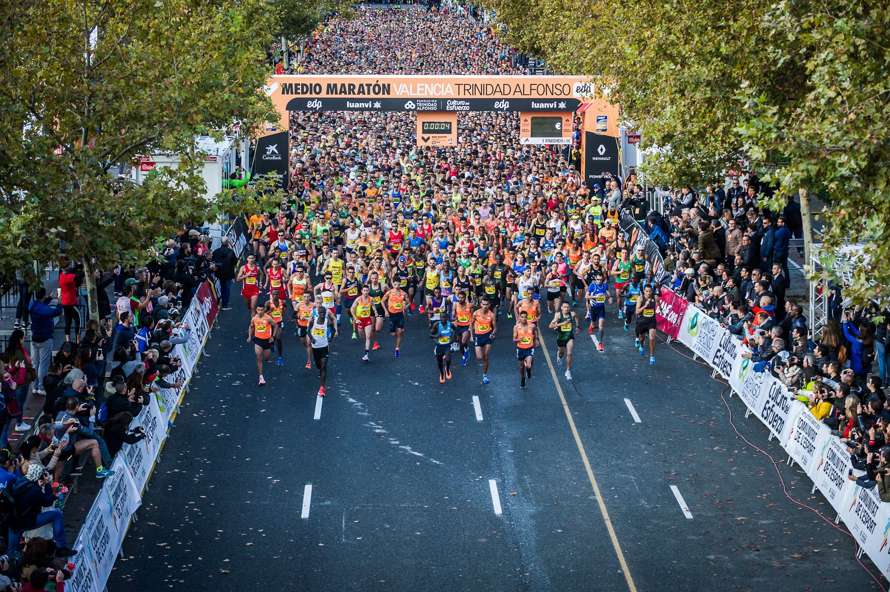 medio maraton valencia 2019
