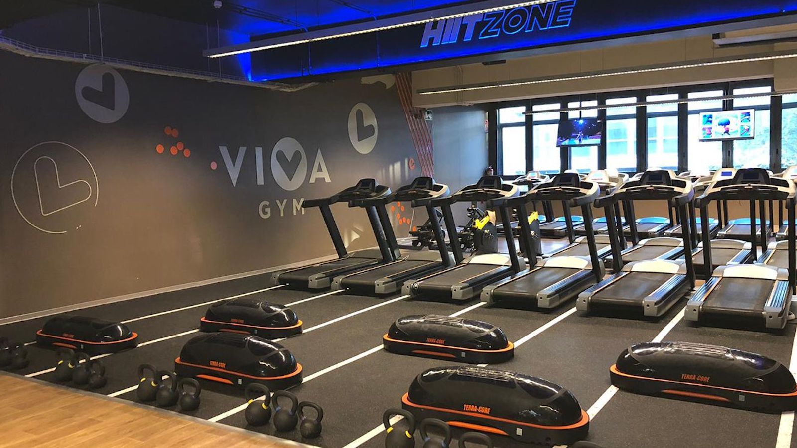 viva gym hiit zone