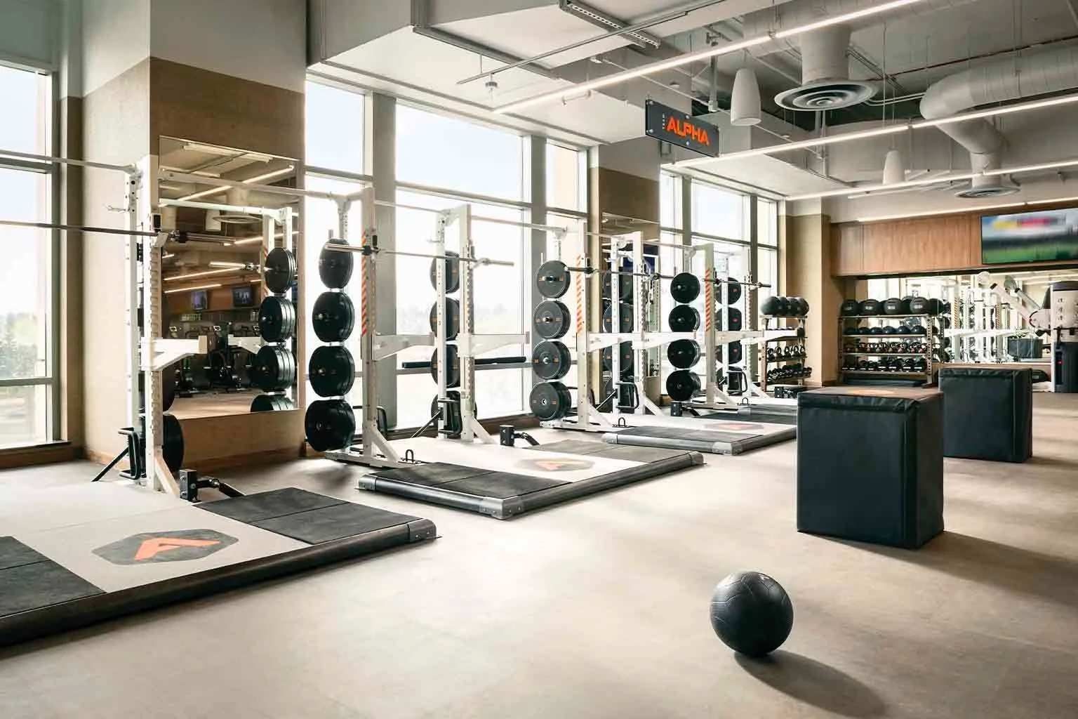 Life Time Fitness musculación