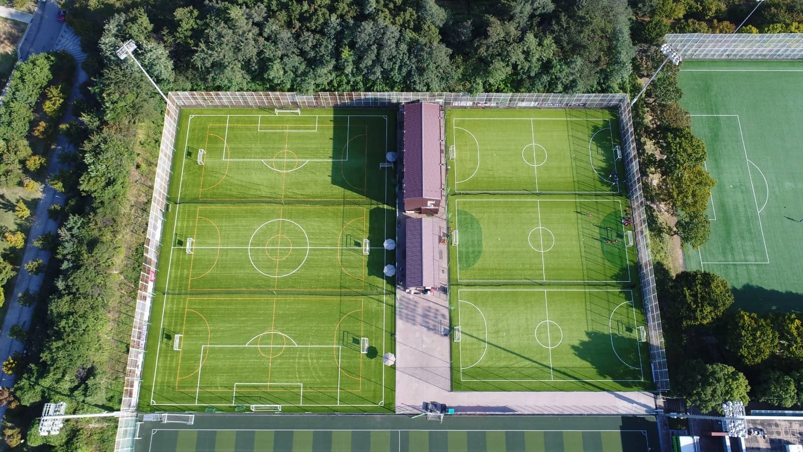 valencia academia seul
