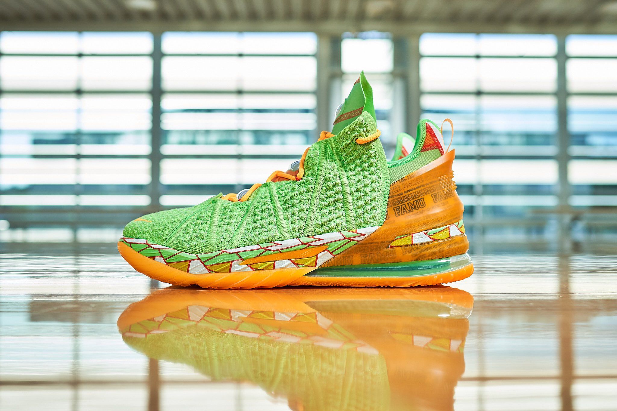 lebron florida