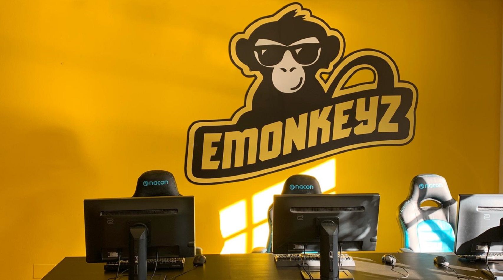 emonkeyz sede