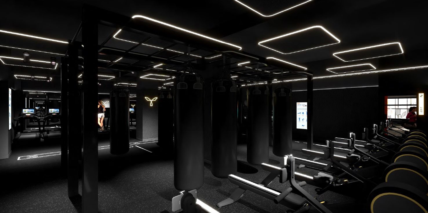 Terra EcoFit Hiit - Synergym