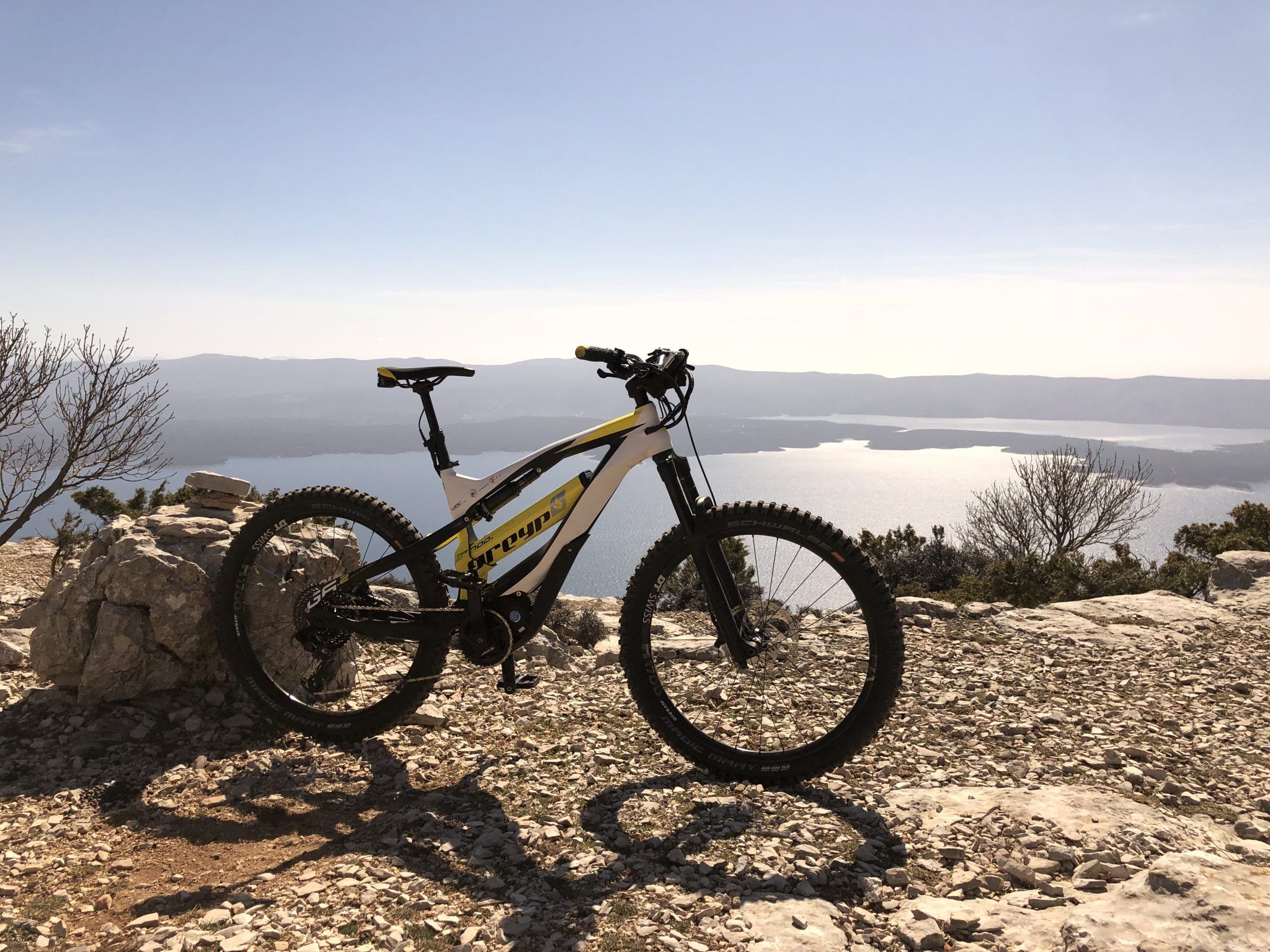 greyp bicicleta