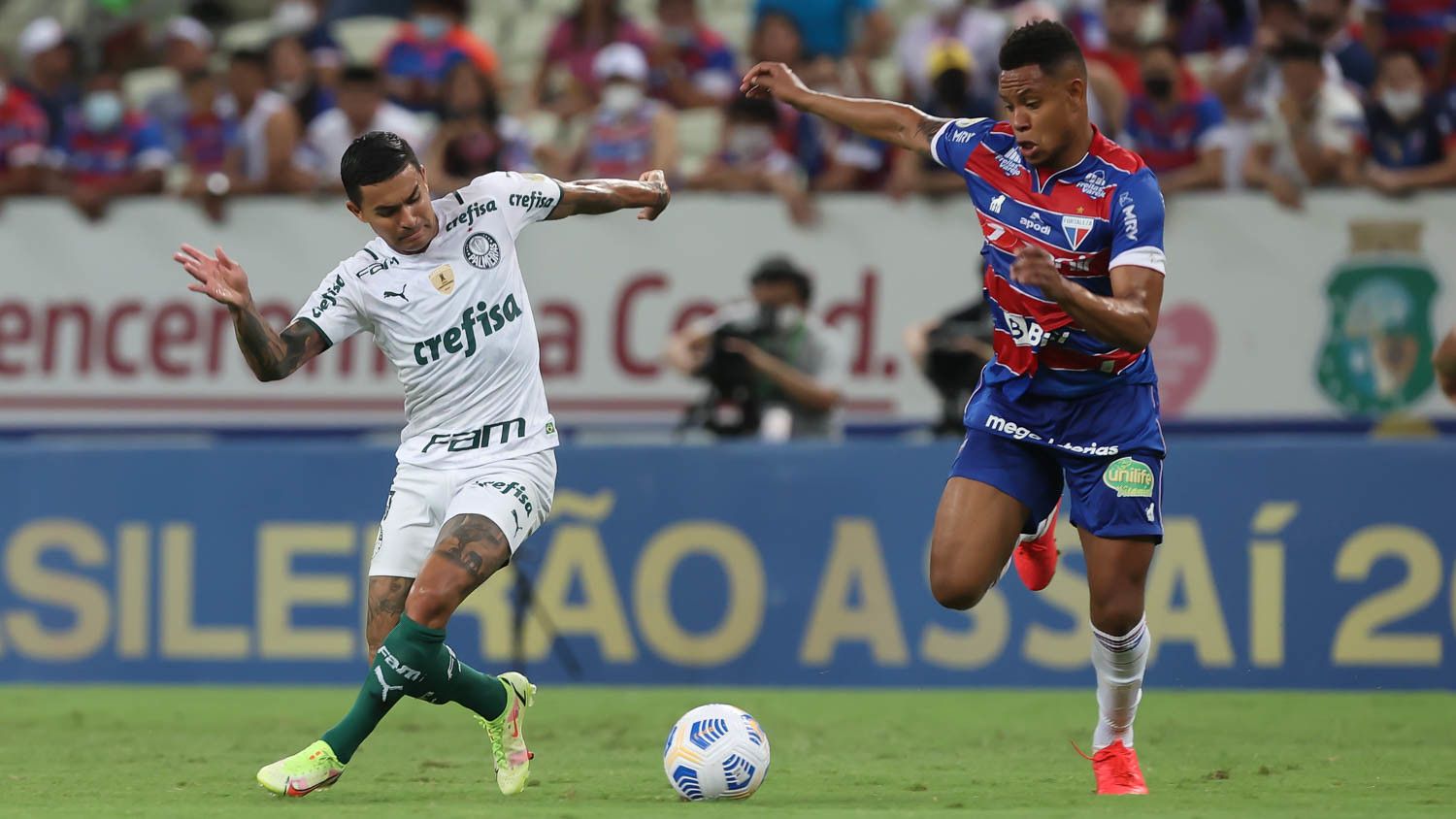 brasileirao palmeiras