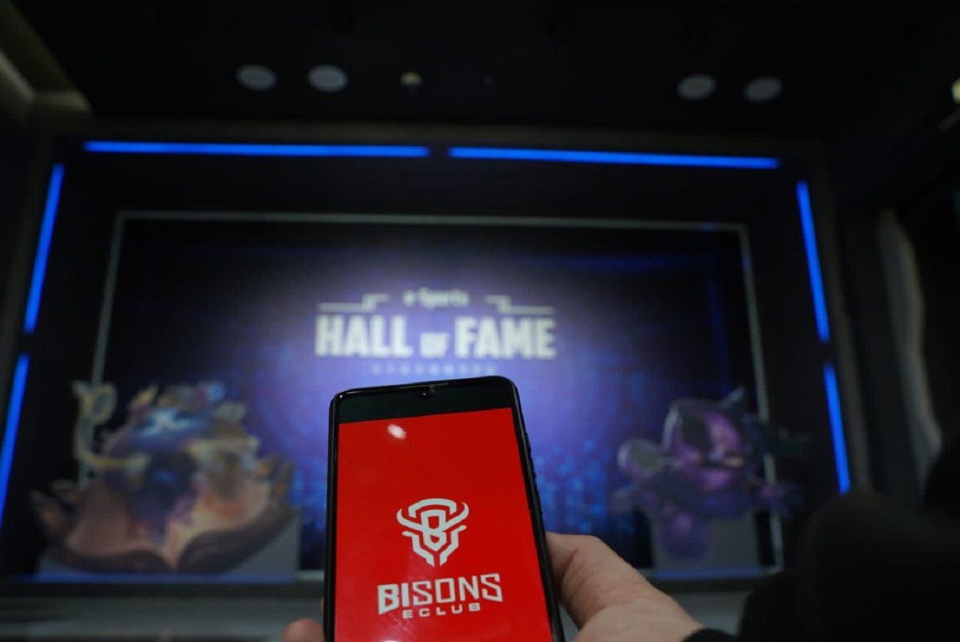 Bisons Club