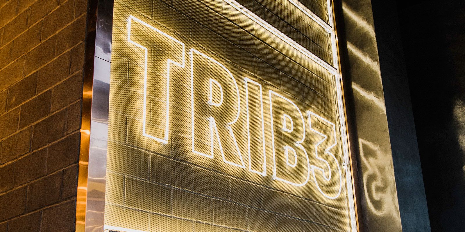 TRIB3 Cuzco