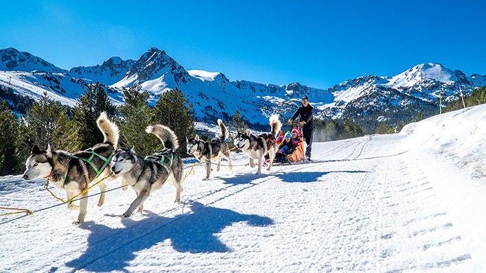 Mushing outdoor