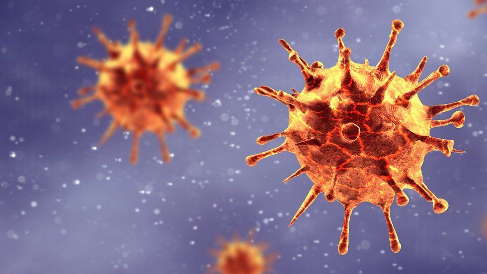 covid 19 coronavirus
