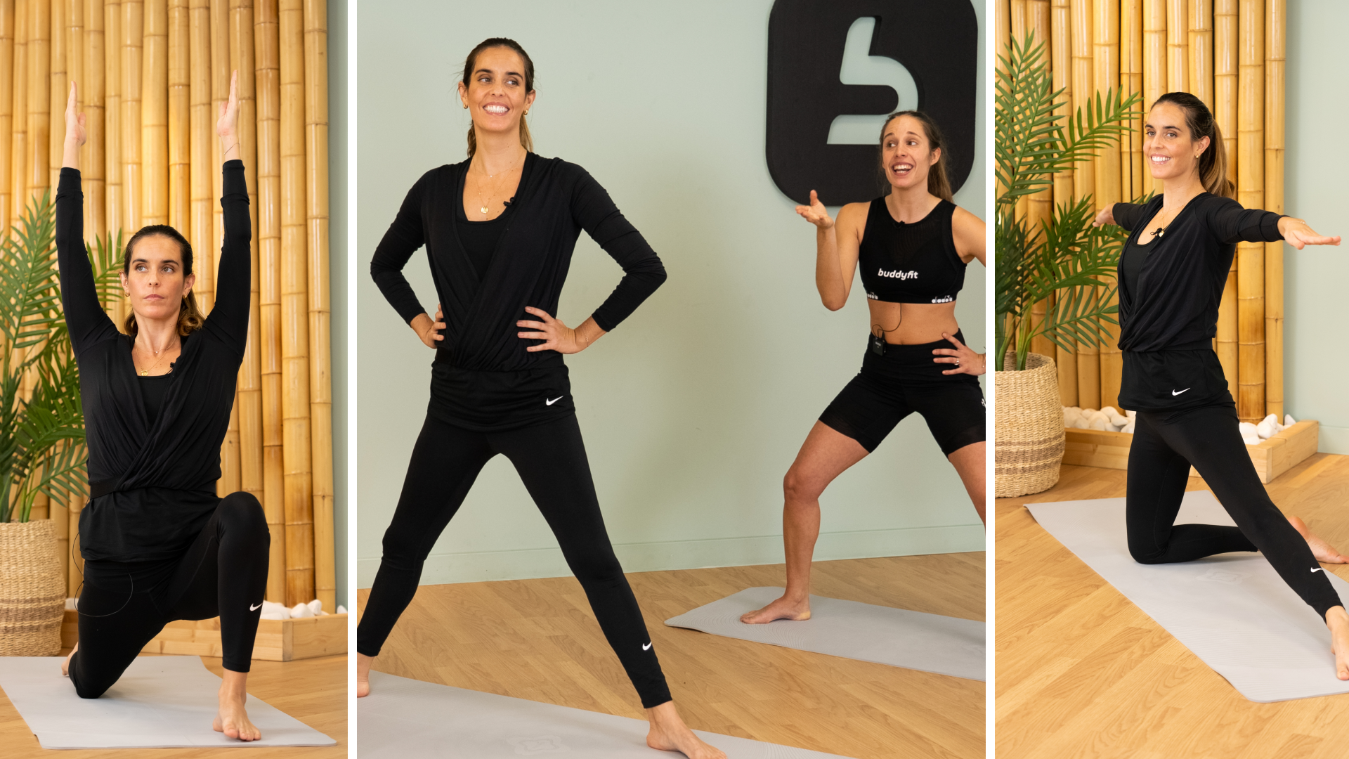 Buddyfit fitness online