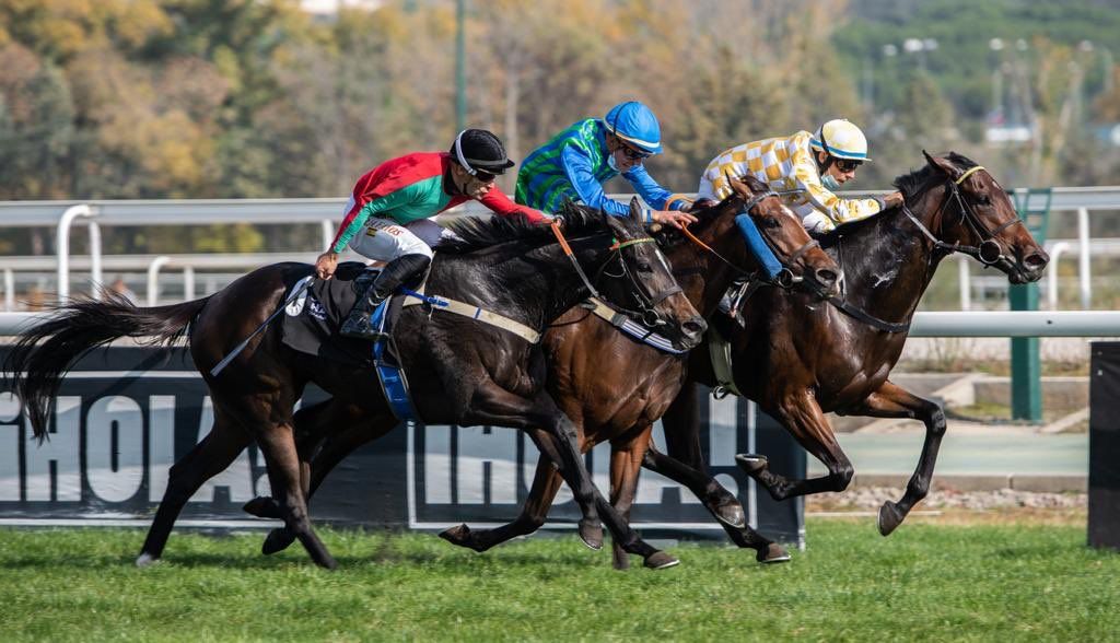 Fotografía: Hipódromo de la Zarzuela.