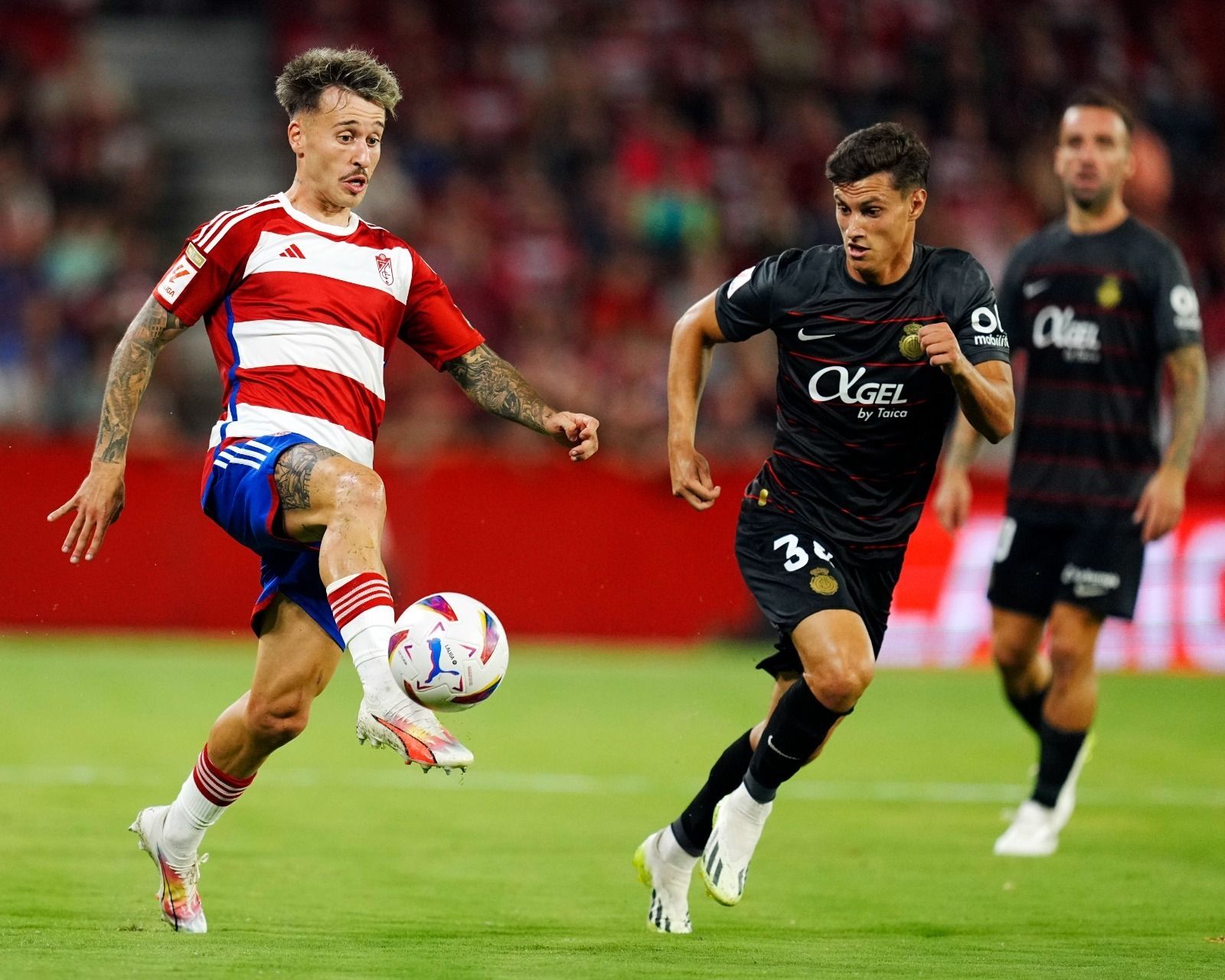 Granada CF 2023 2024