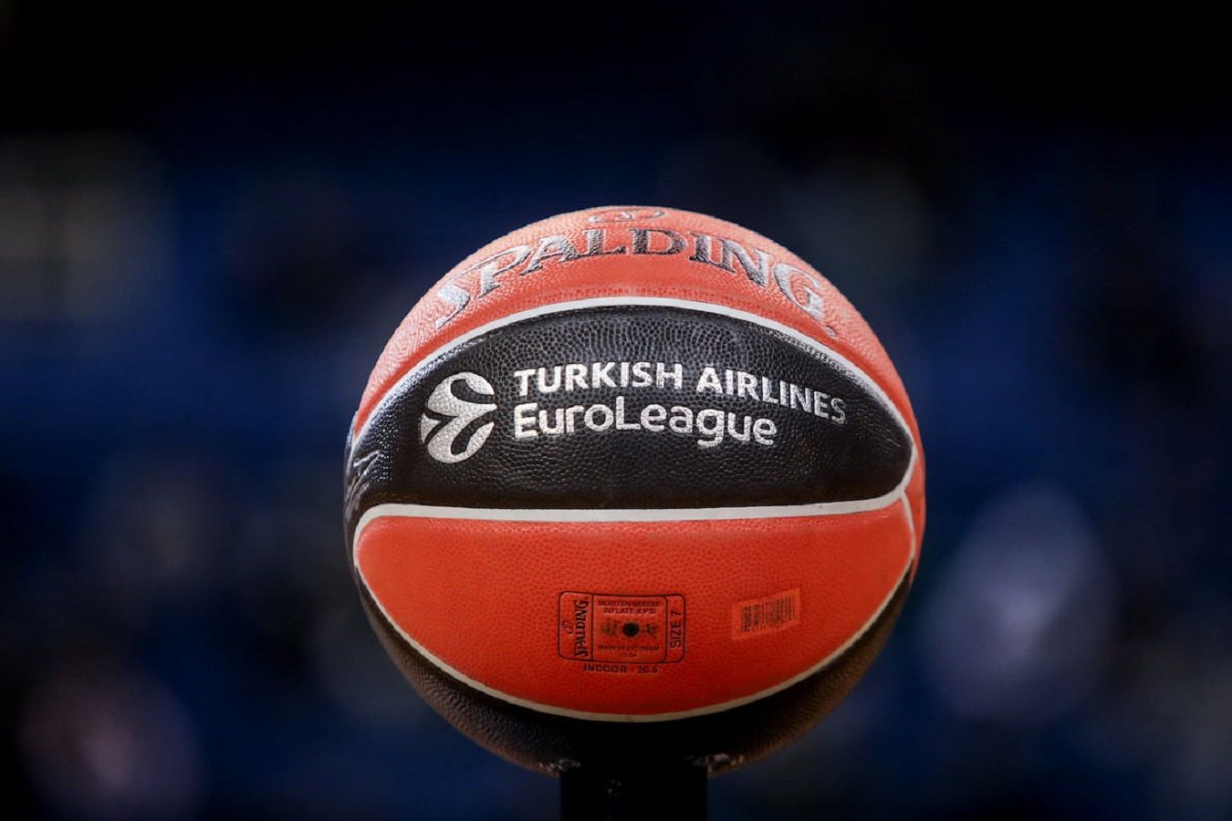 euroleague  panini