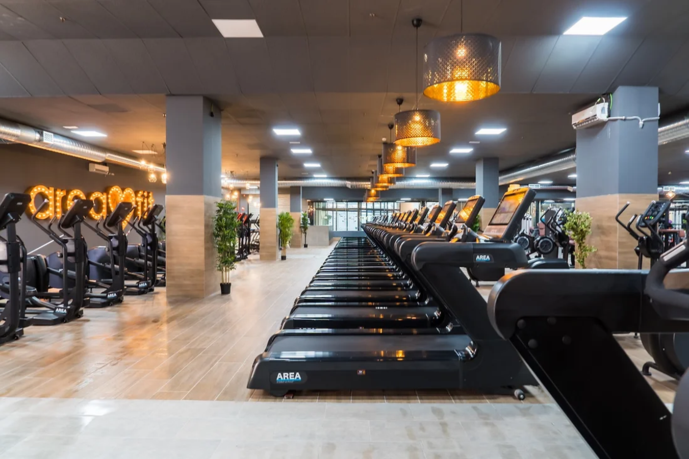 areafit gimnasio