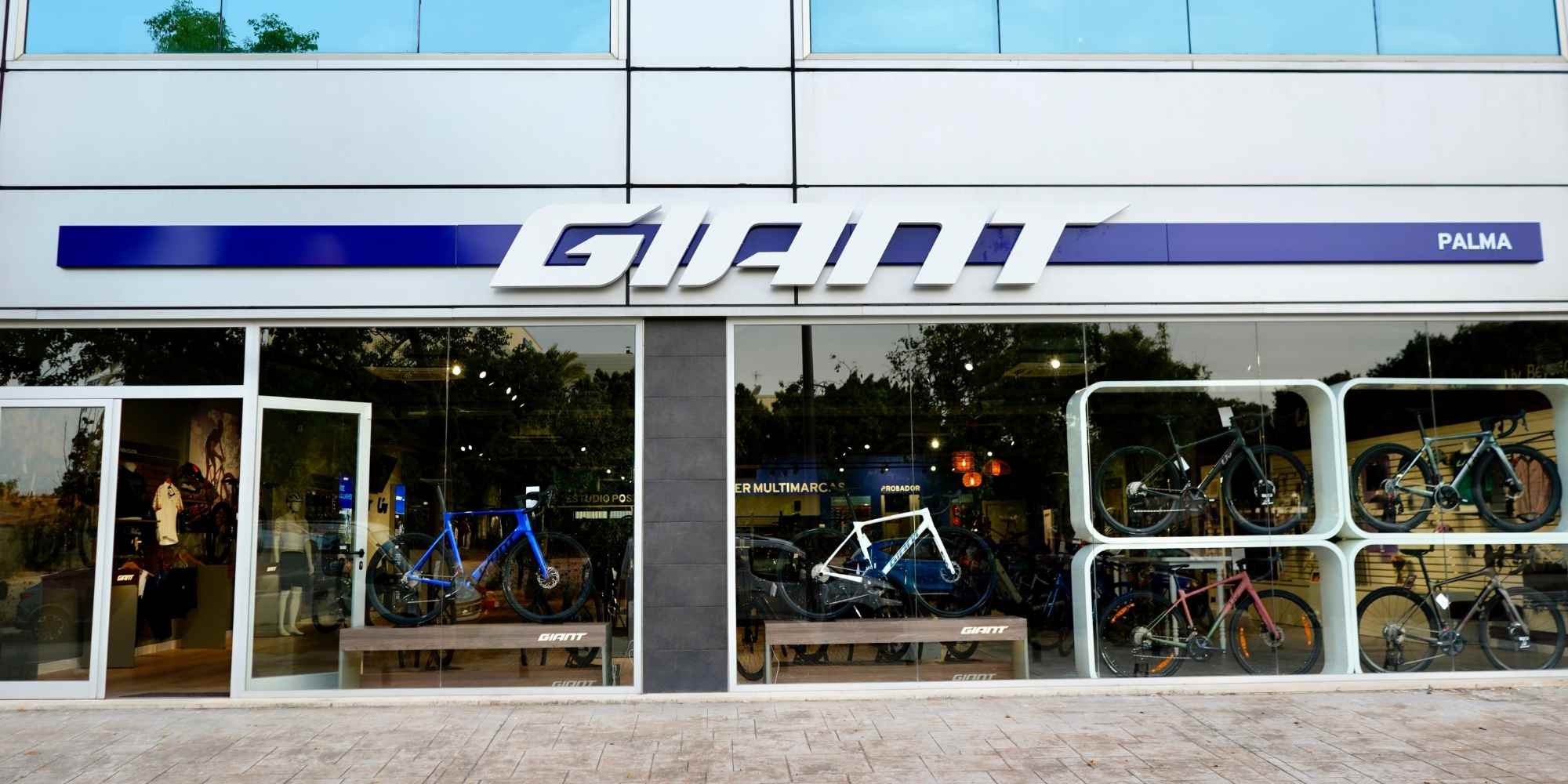 Giant Mallorca