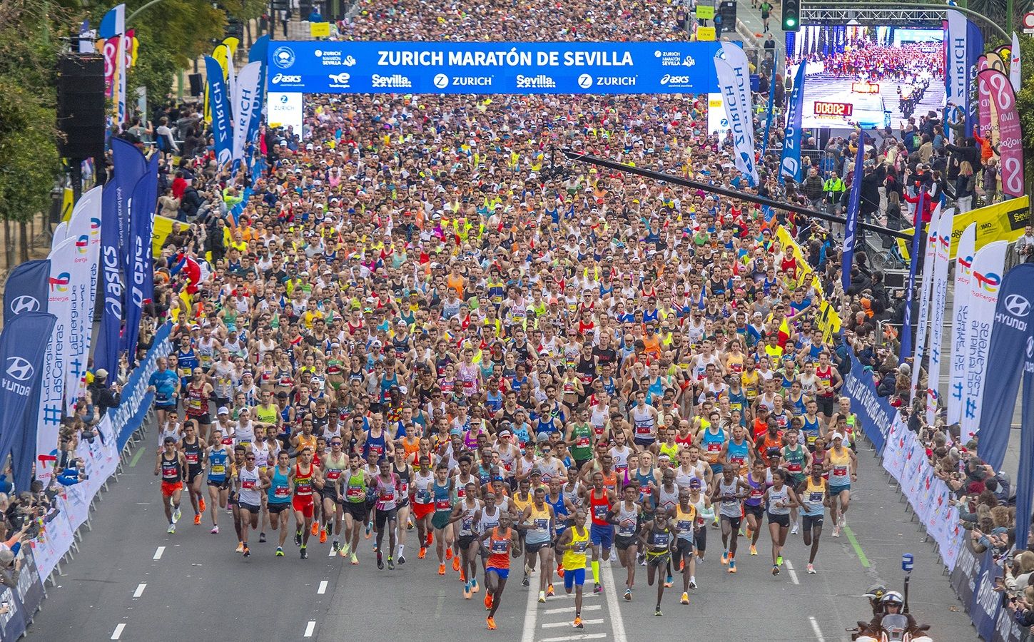 Zurich Maraton Sevilla