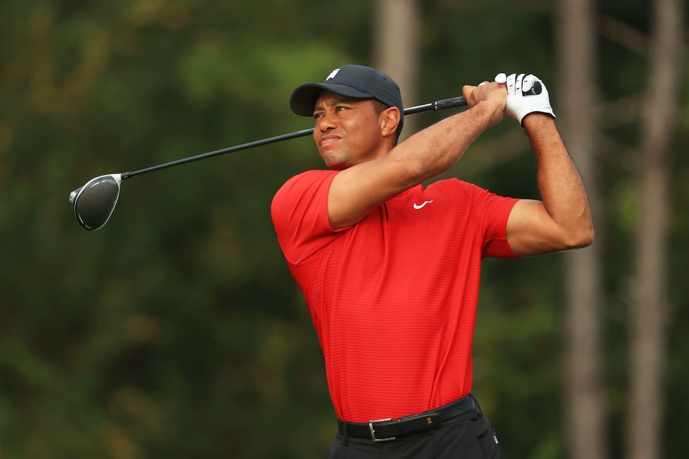 woods