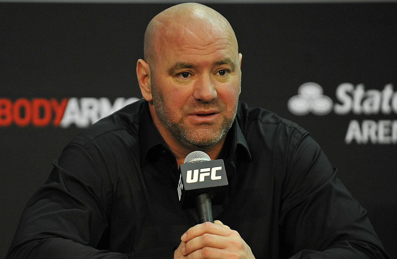 ufc dana white presidente