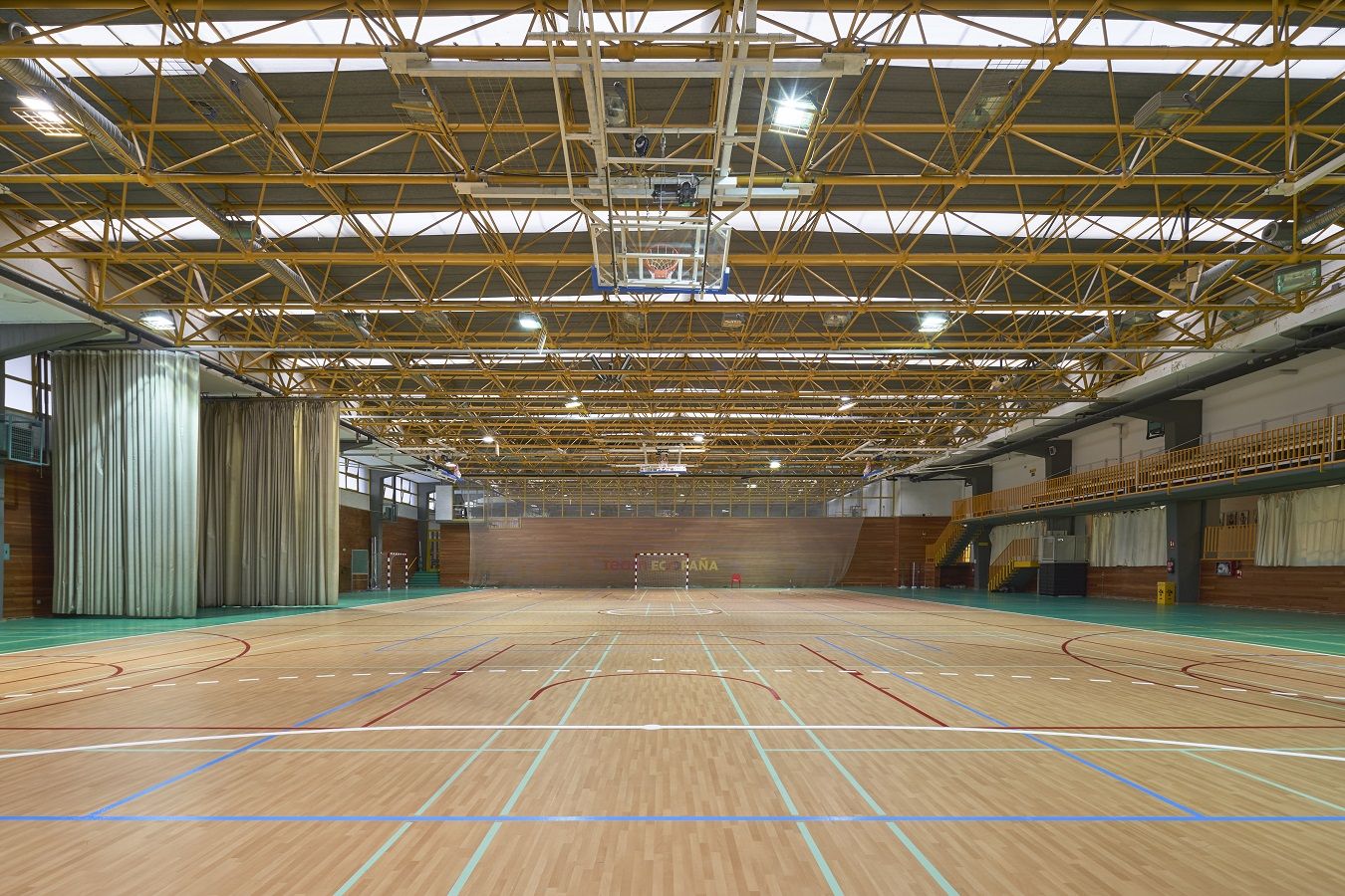 GERFLOR CSD © Javier Bravo