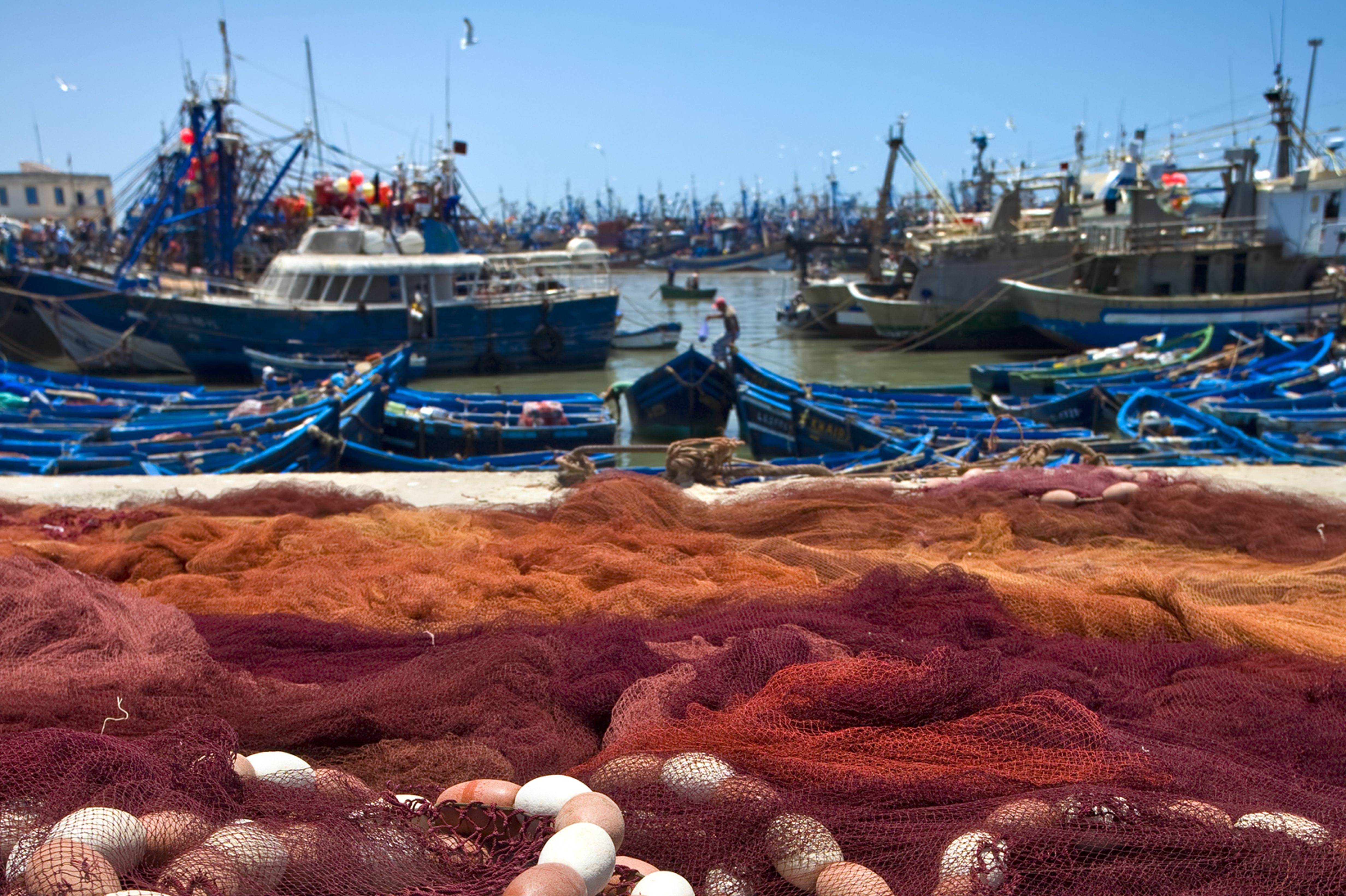 Pesca Ministerio de agricultura y pesca 2024