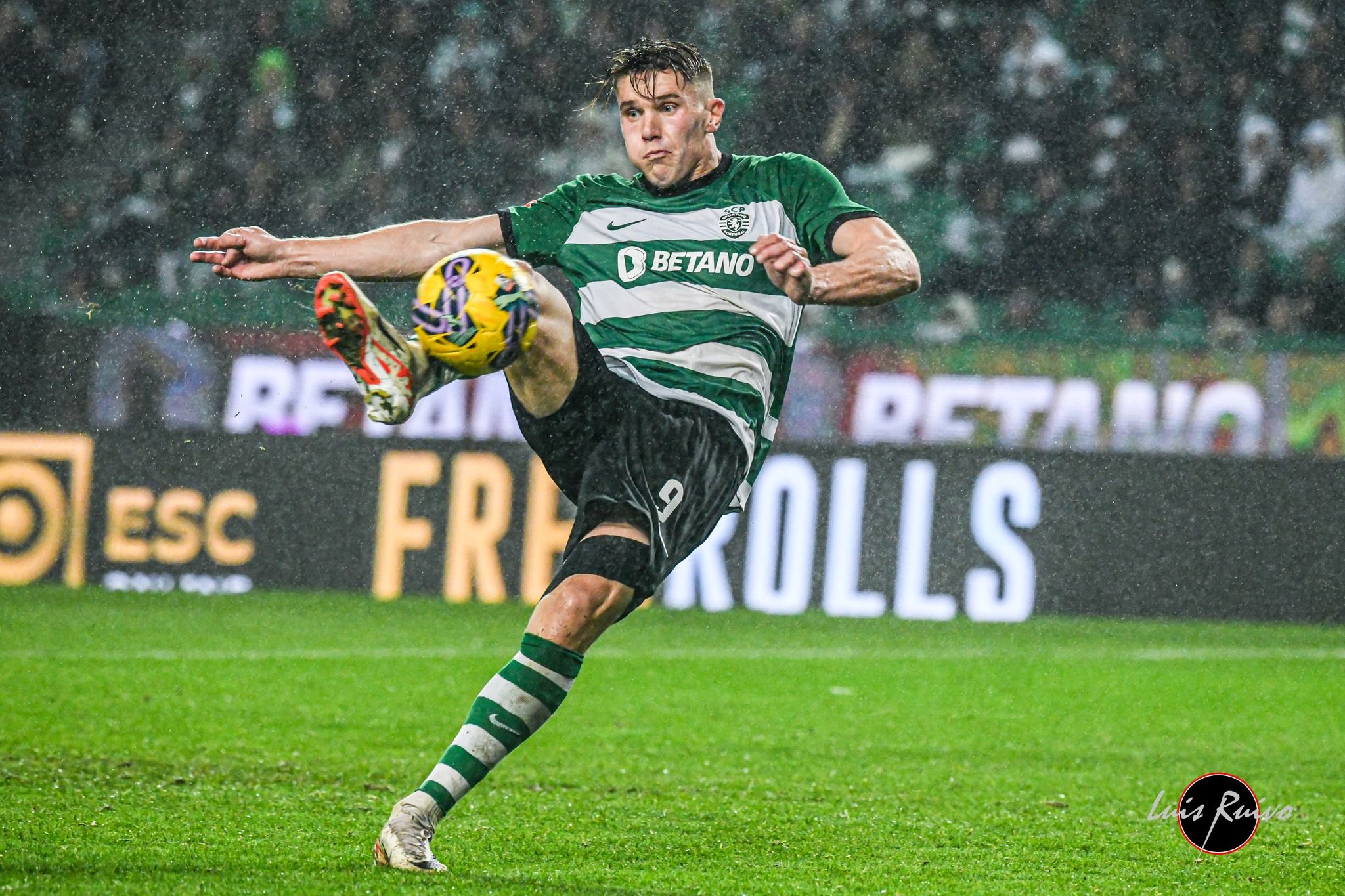 Sporting CP 2023 2024