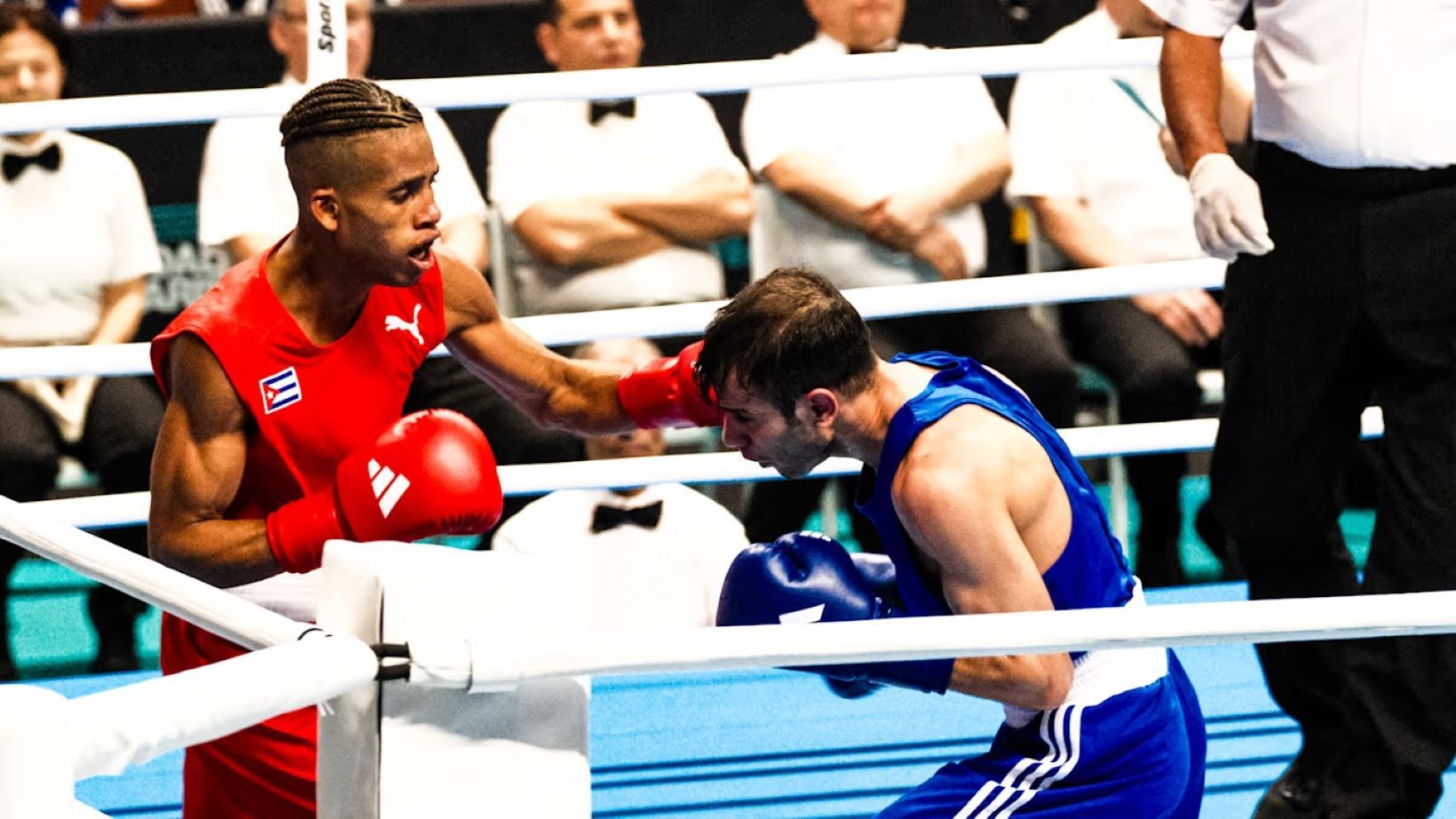 COI Boxeo