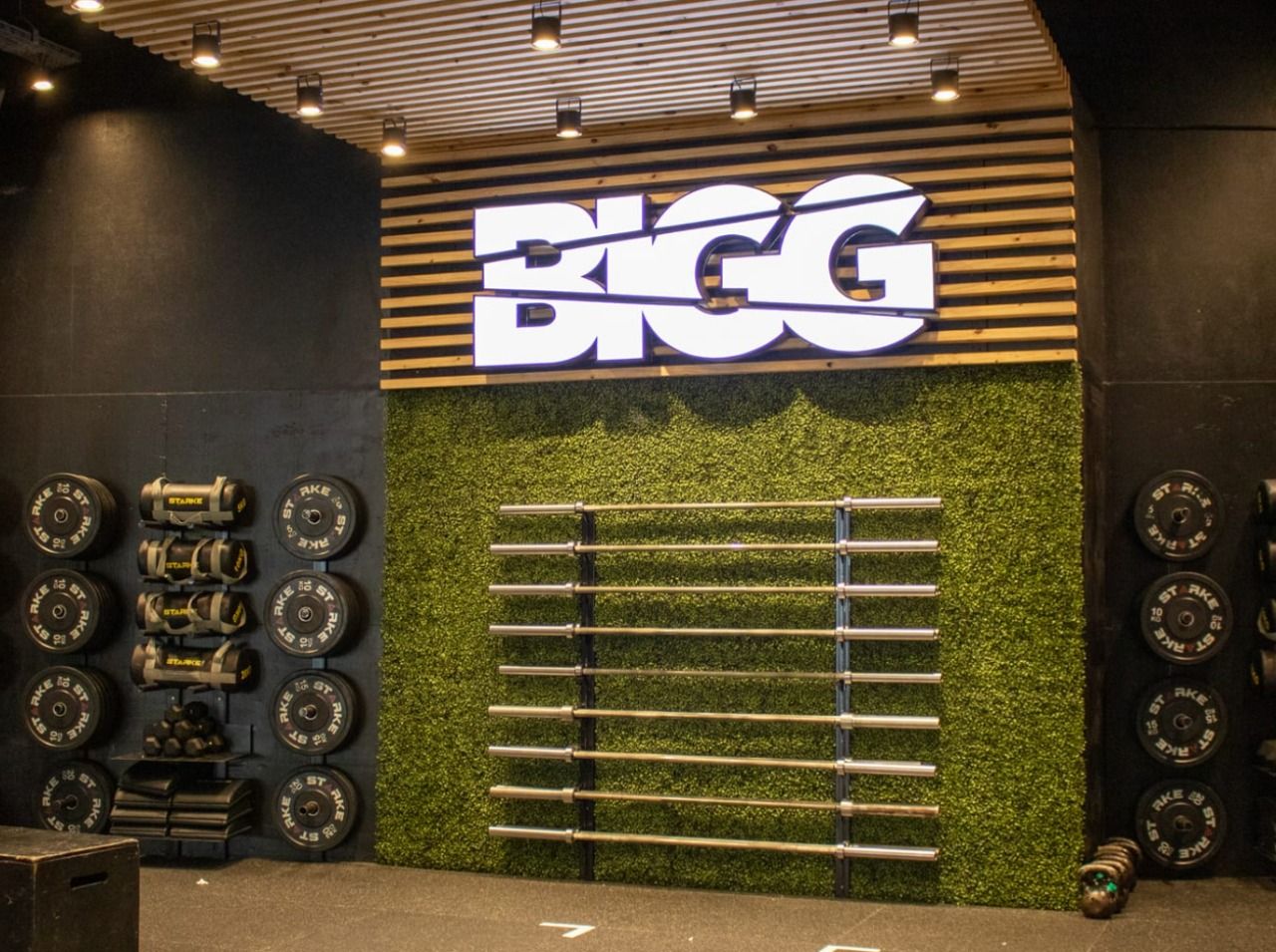 bigg fit gimnasio