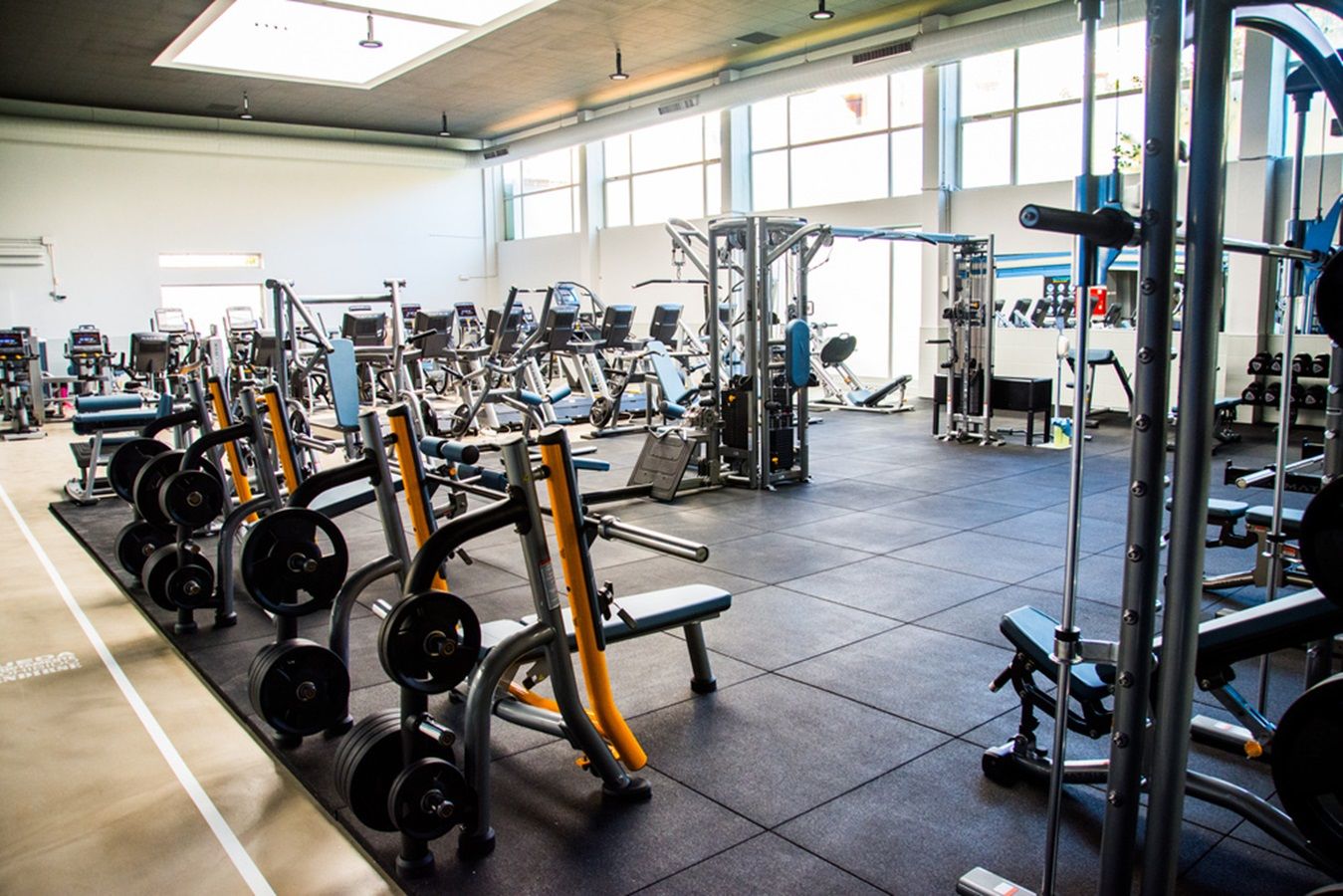 sportia gimnasio 1