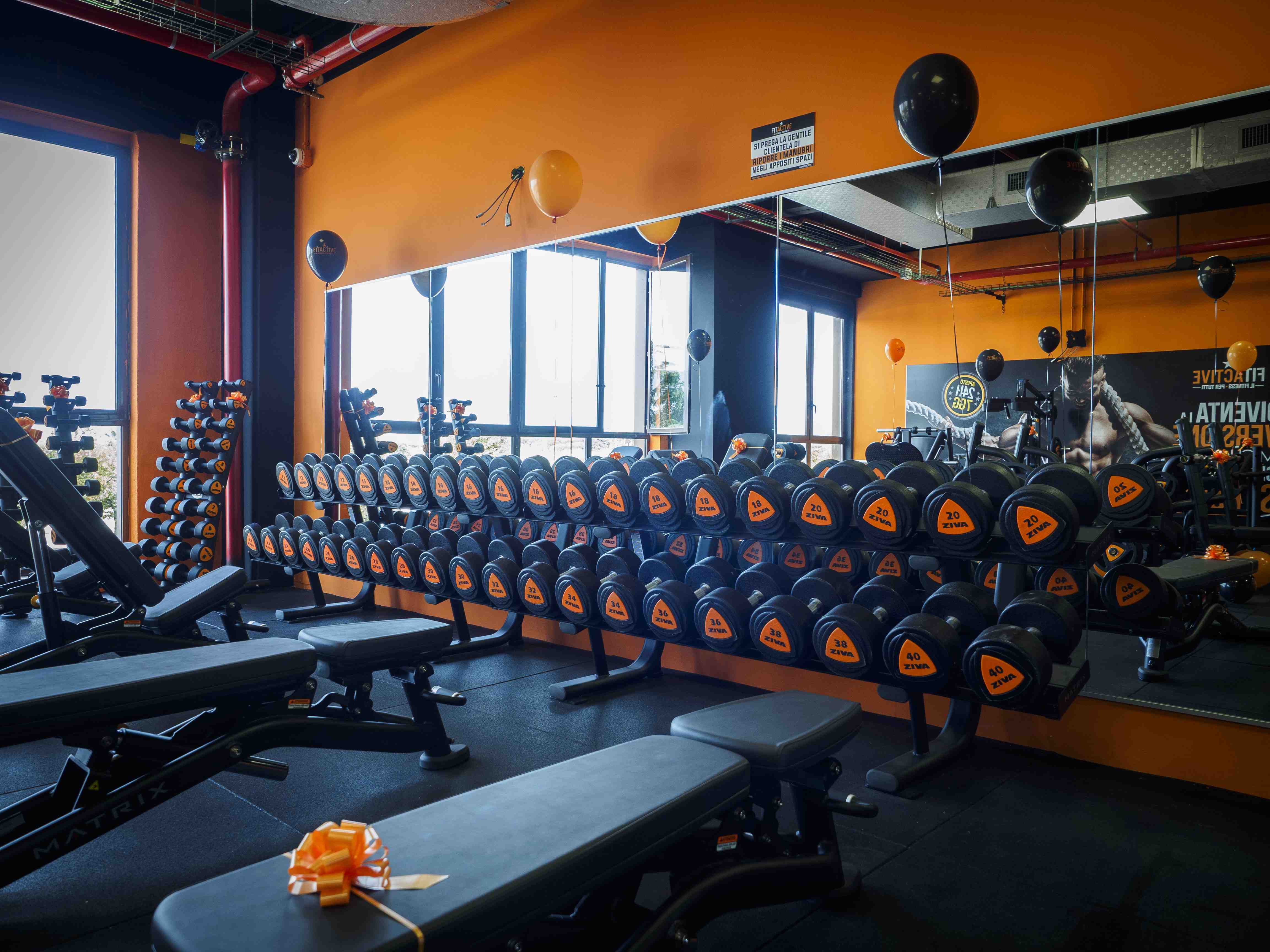 fitactive gimnasio fitness