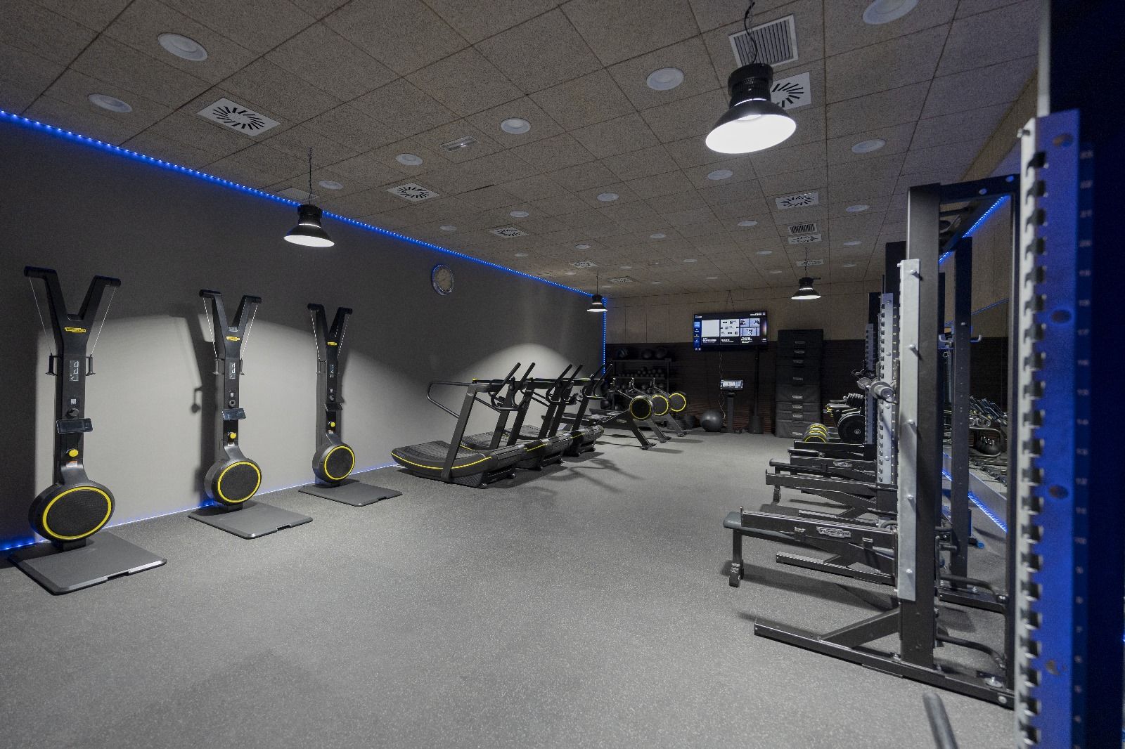Smartclub Technogym SkillX 