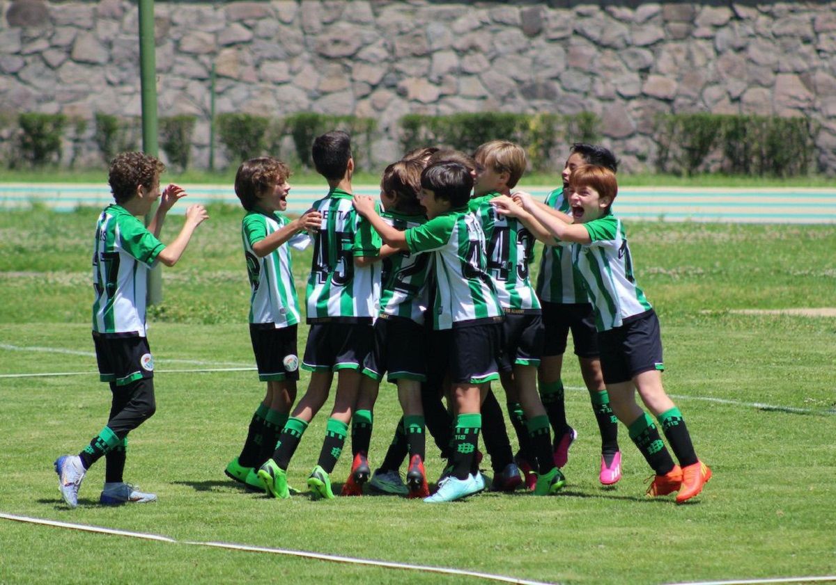 Real Betis Academias 2024