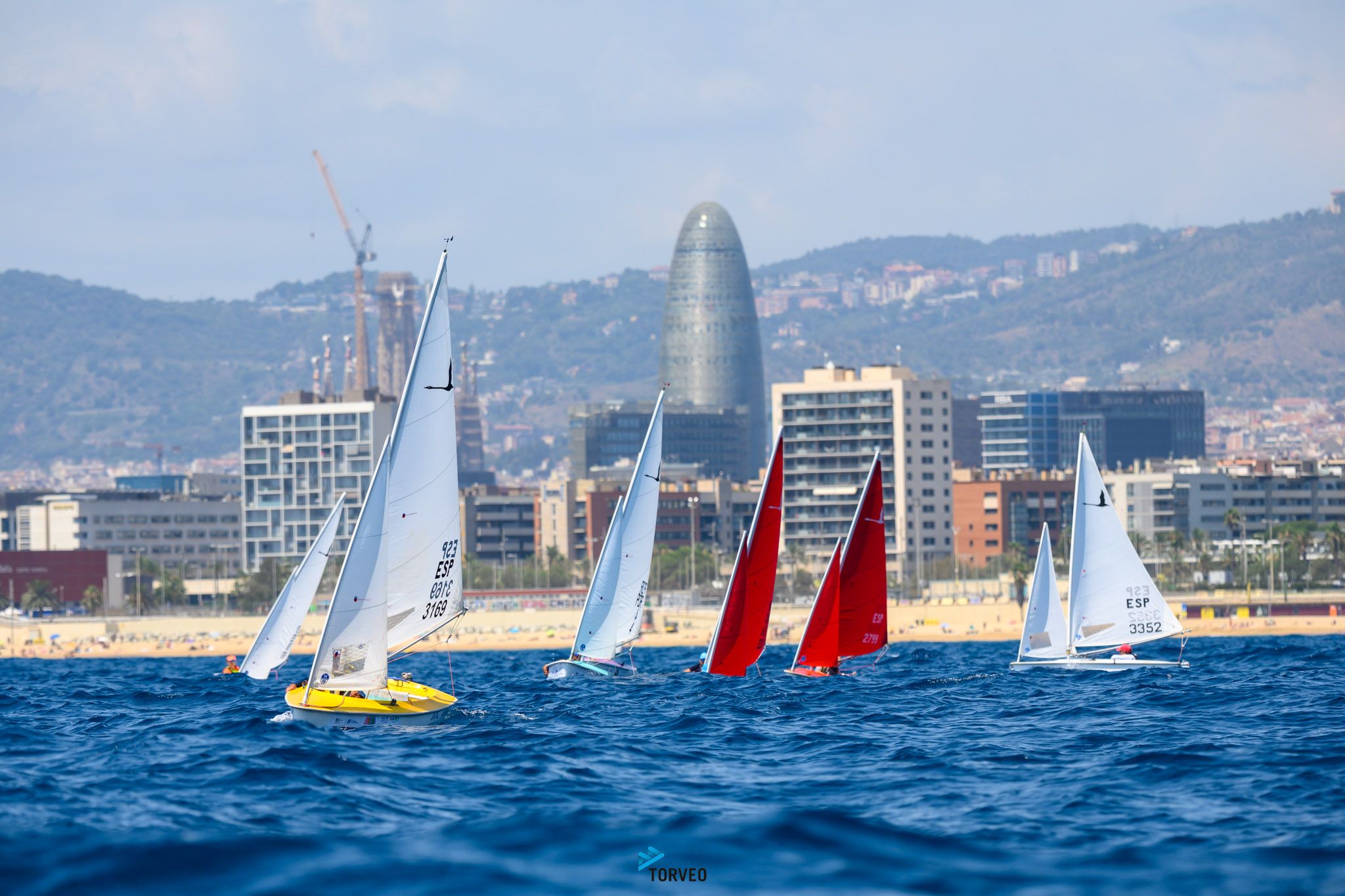 Kakapo Open Race vela 1