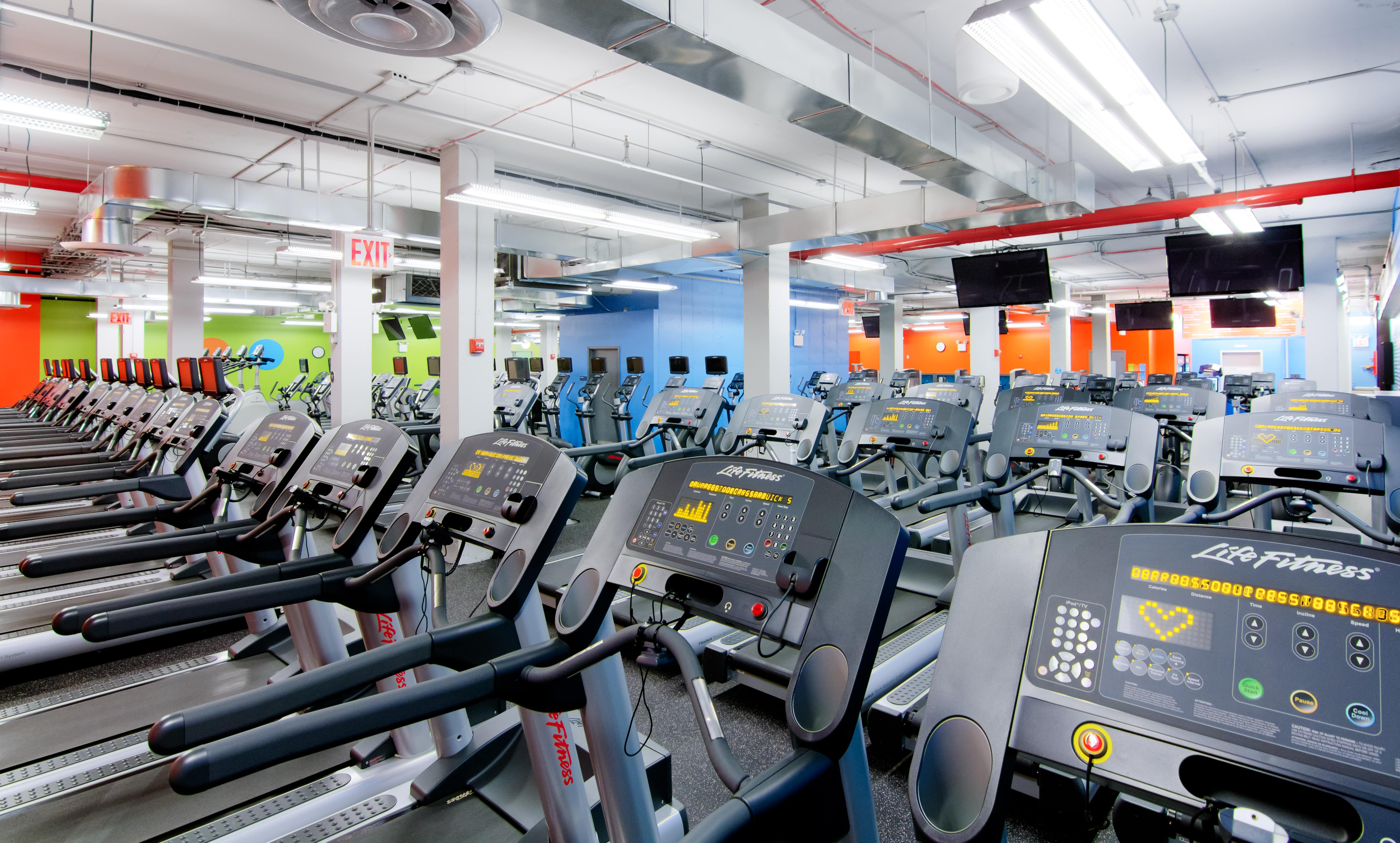 blink fitness gimnasio