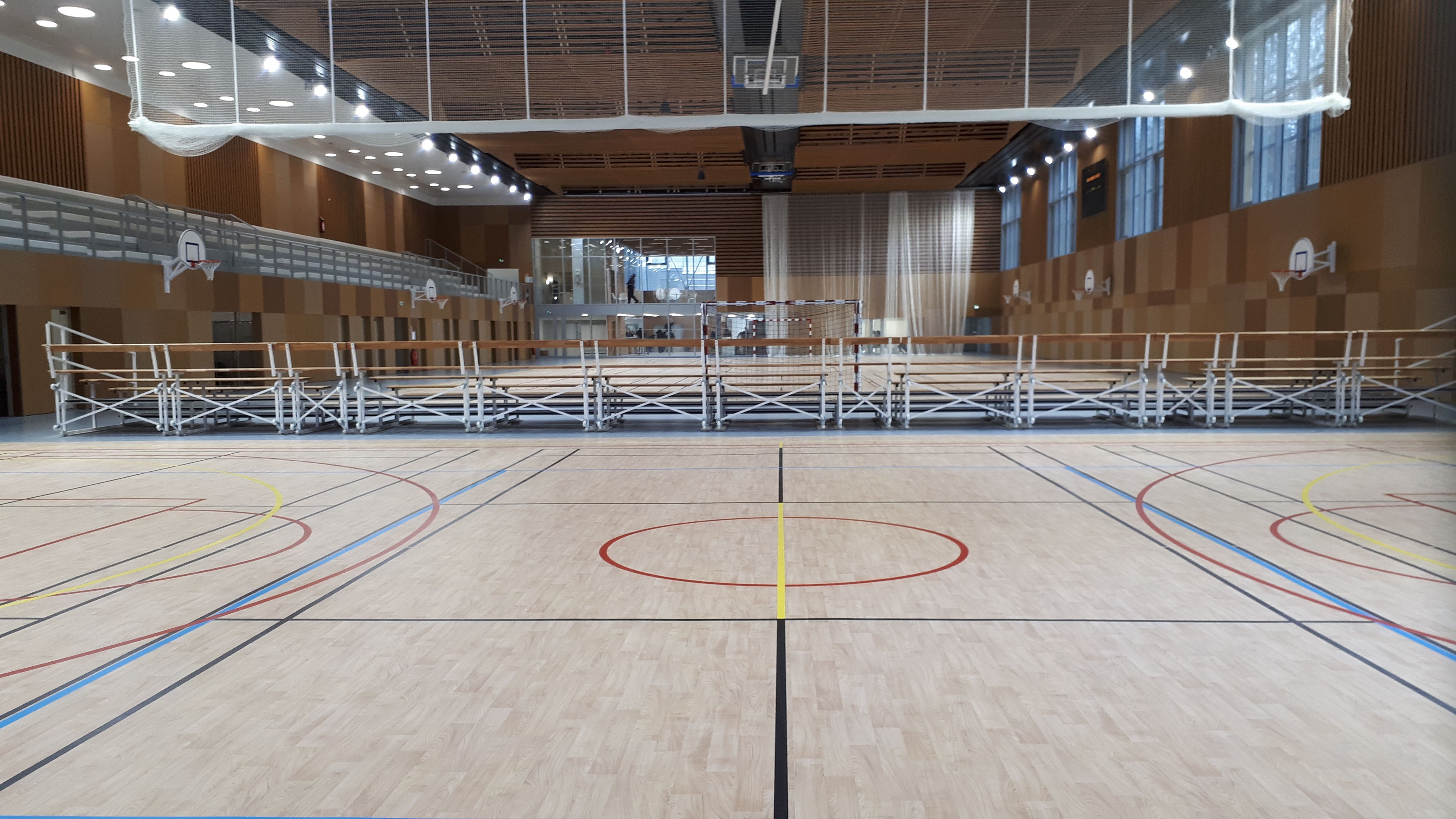 Gerflor Branded Taraflex D 81
