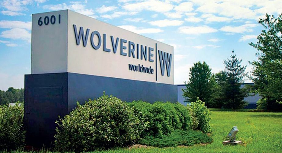 wolverine