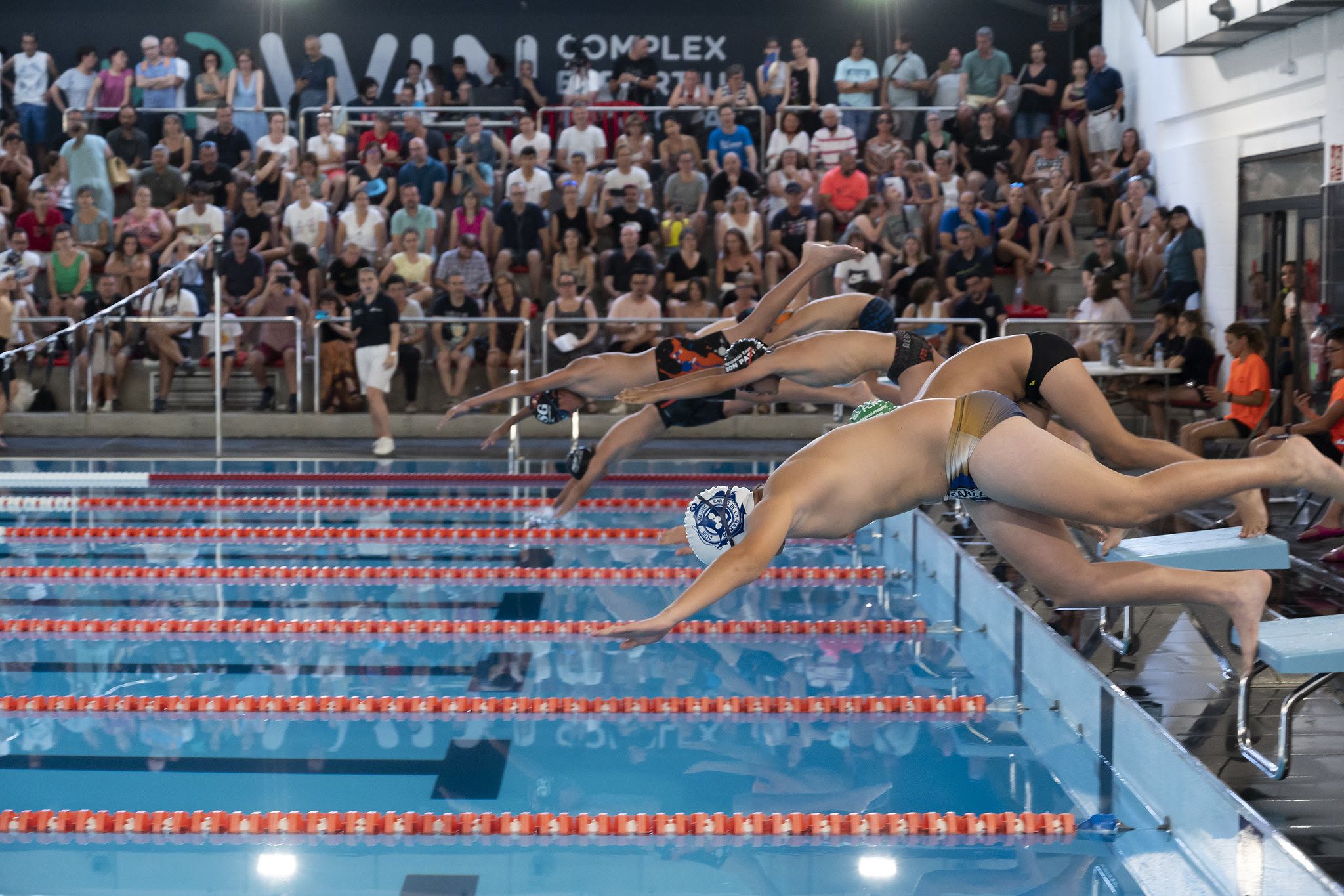 Competición de natación en Cataluña