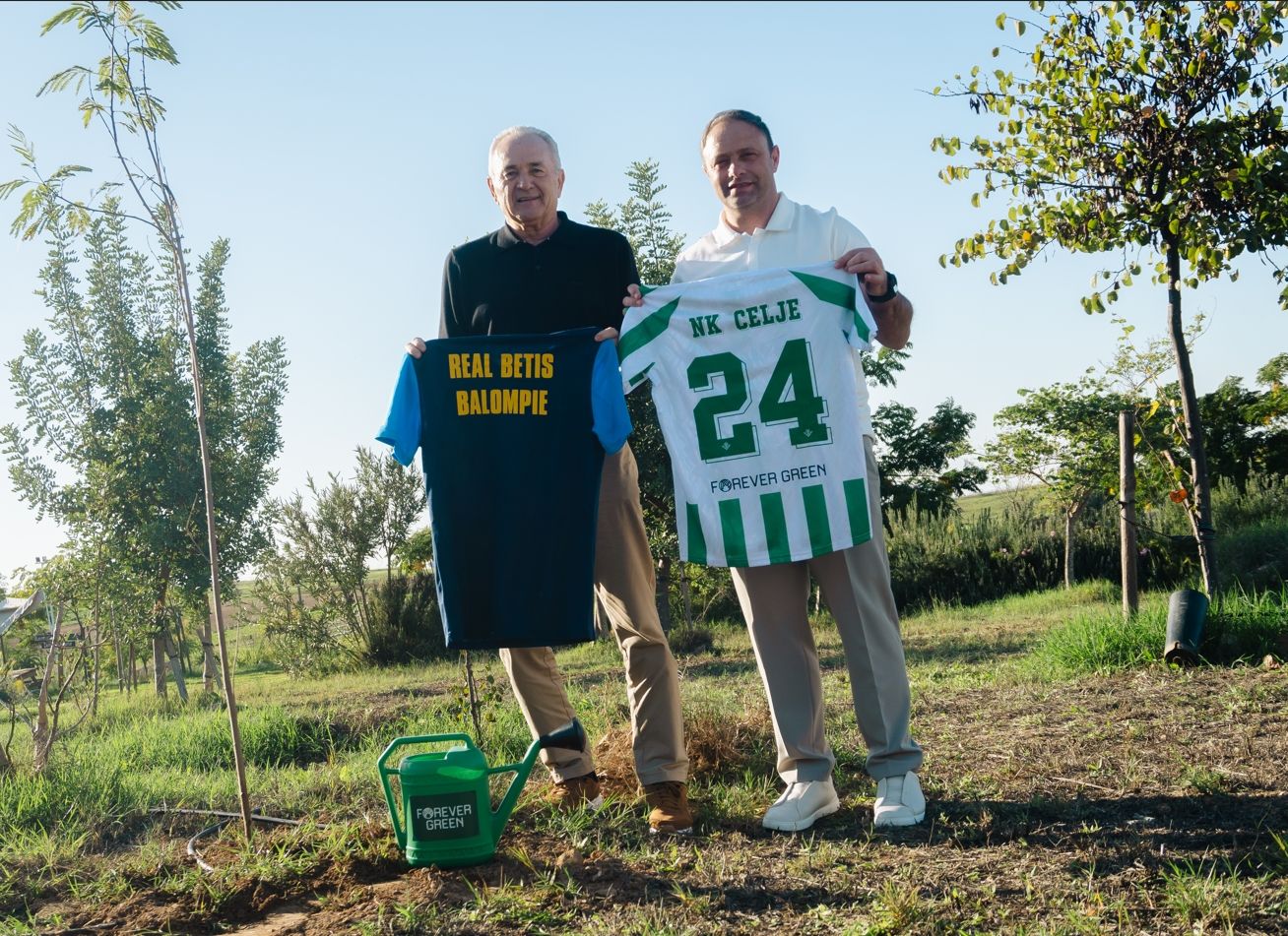 Forever Green NK Celje
