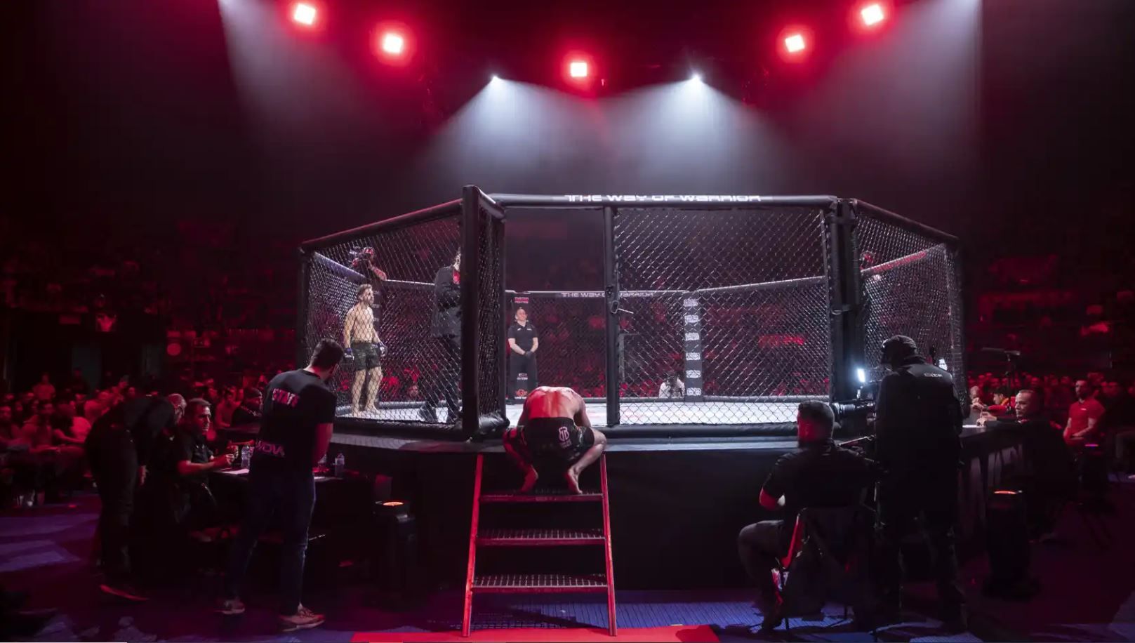 MMA WOW
