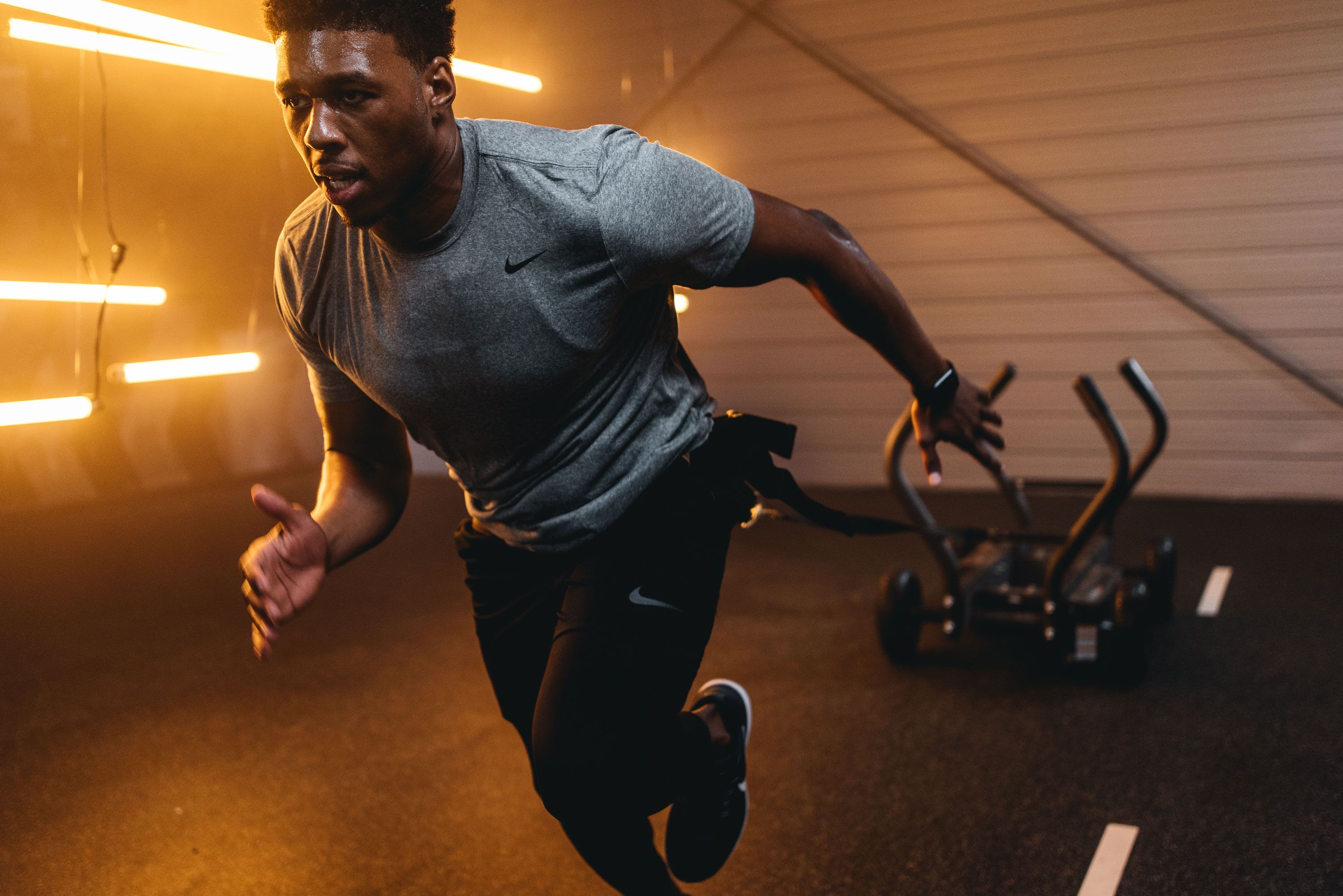 Tank Push Sled de Torque Fitness