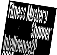 Widget Informe Fitness Mystery Shopper 2024