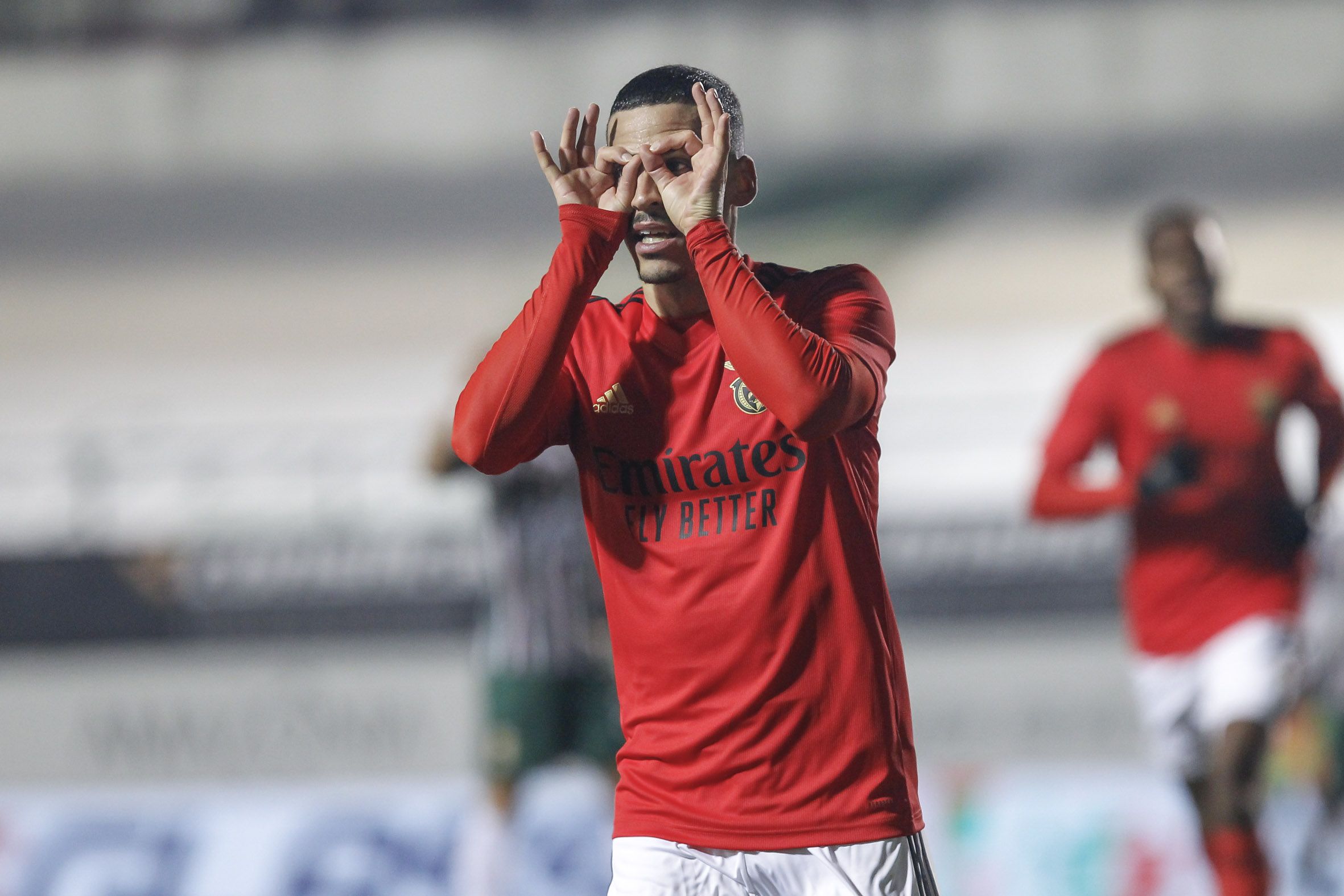 benfica liga portugal