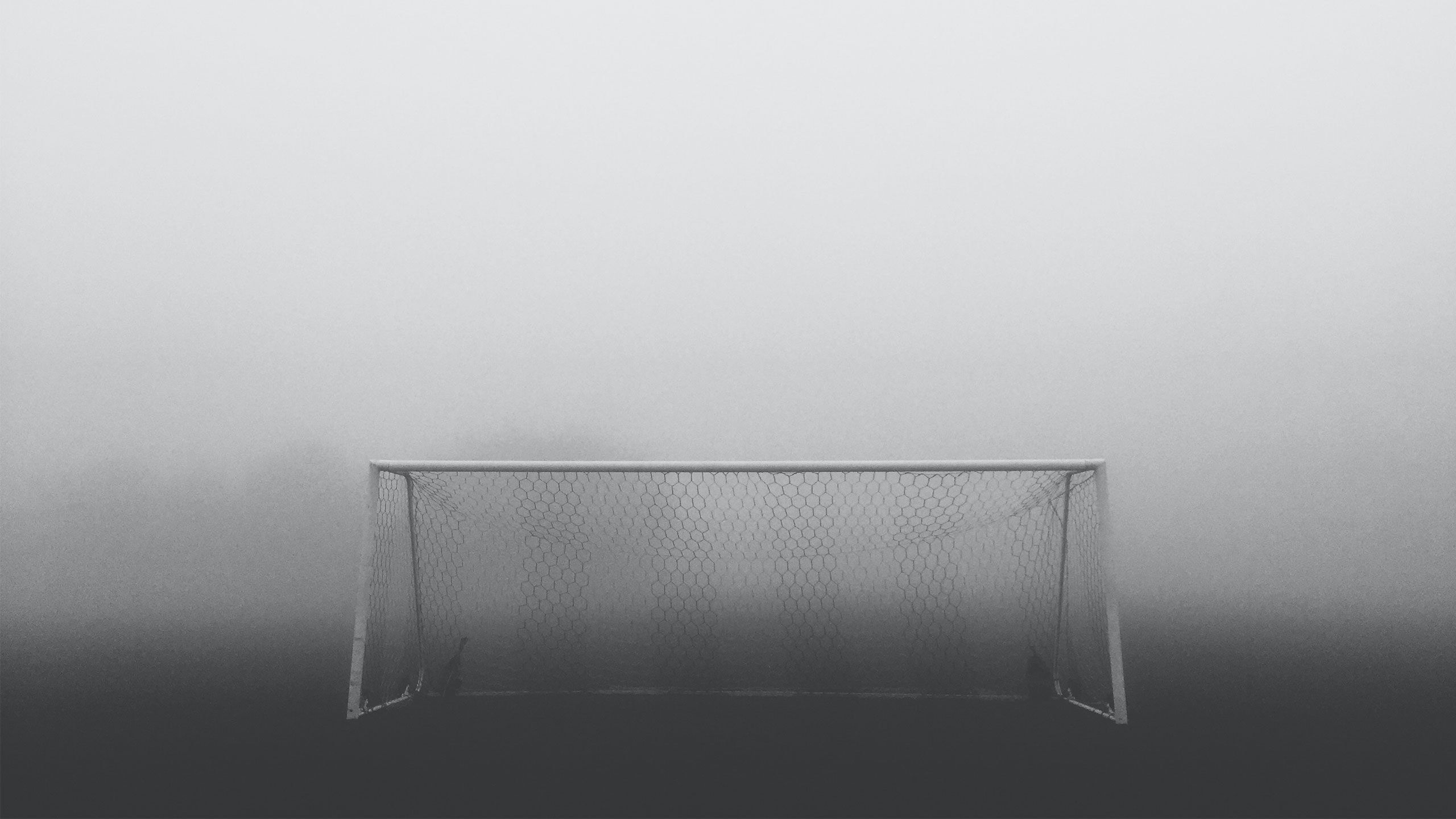 shapelined qawemGipVPk unsplash