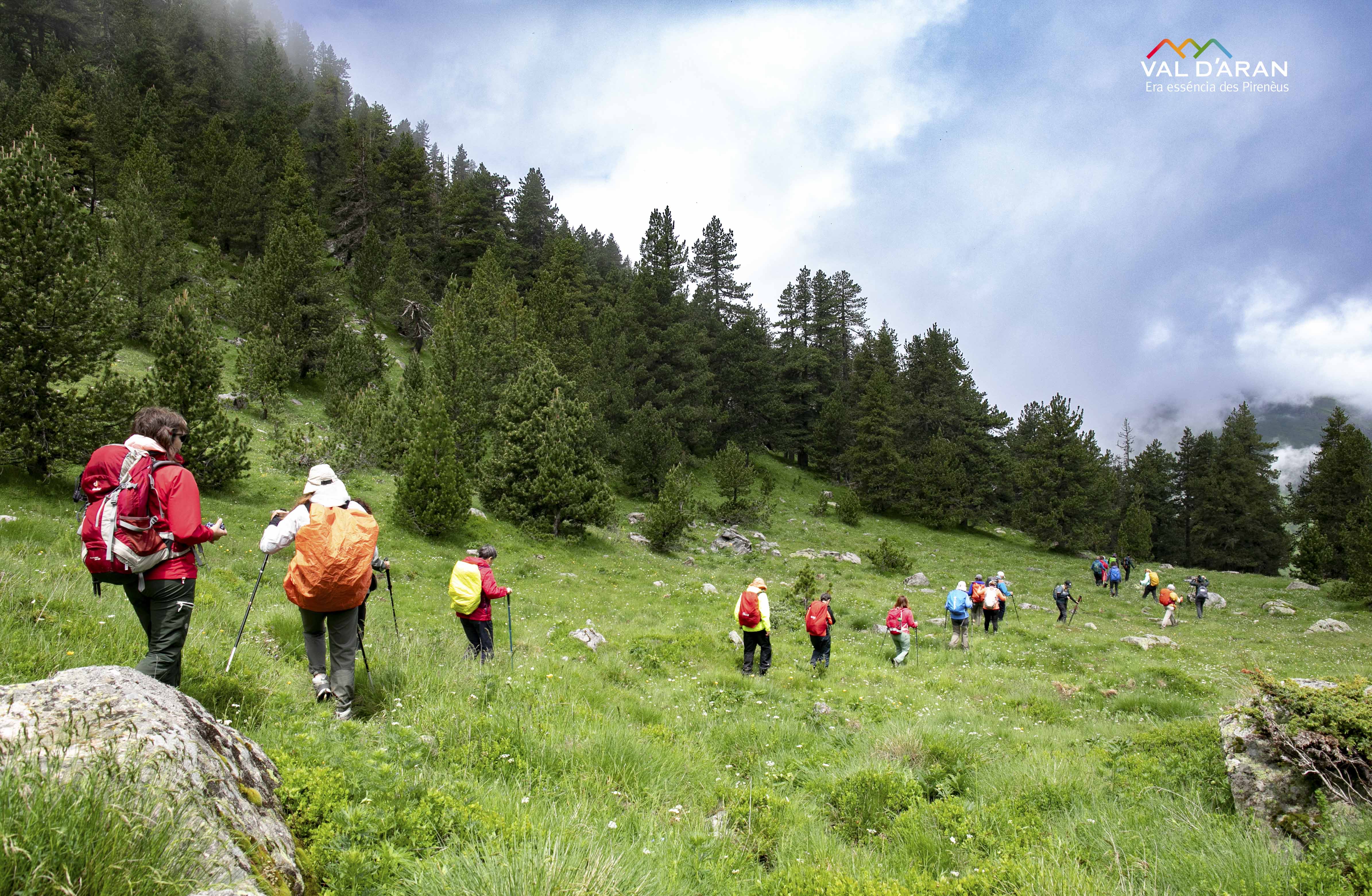 Un grupo de excursionistas caminando en la Val d'Aran