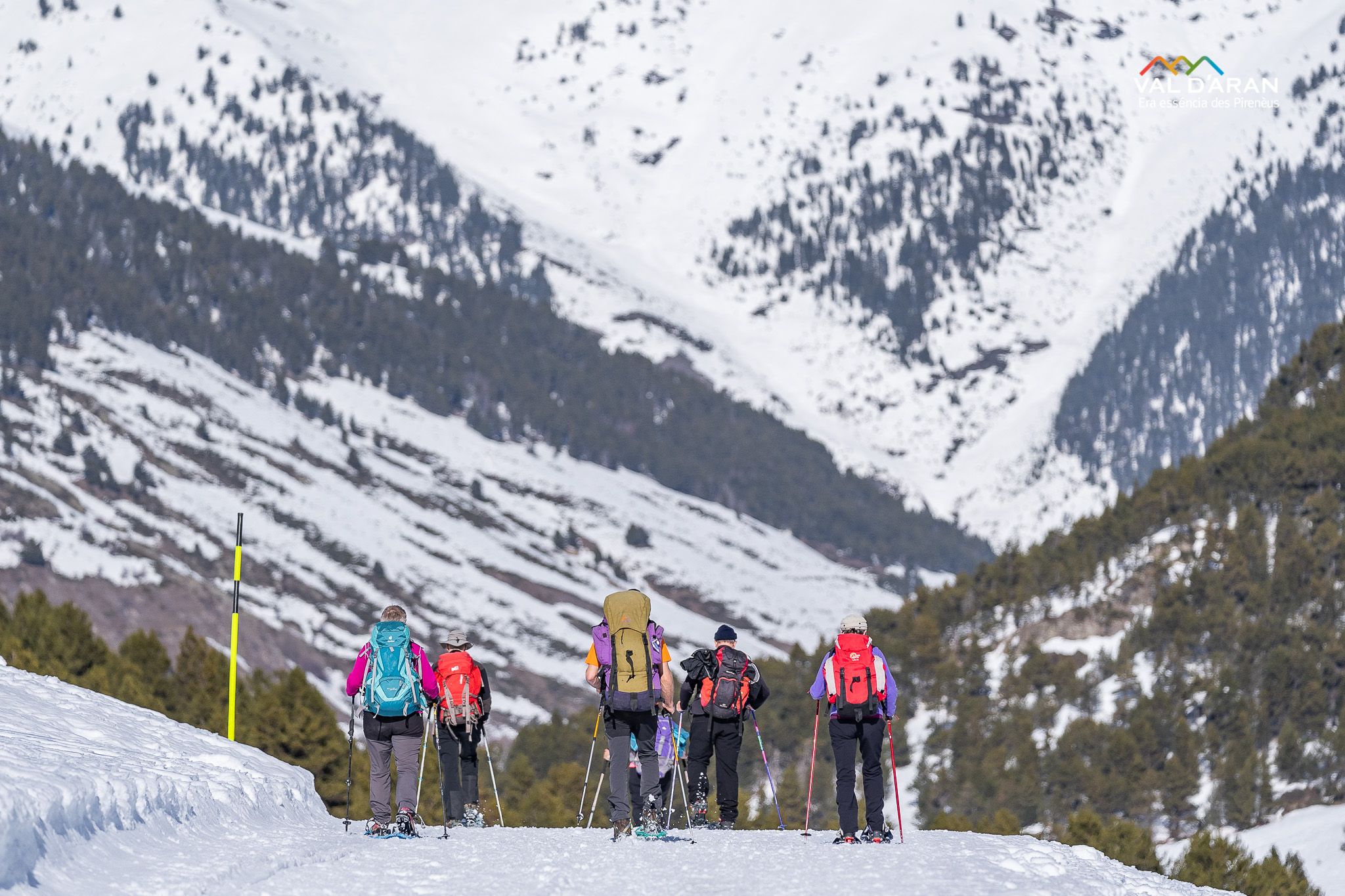 Baqueira Beret ofrece excursiones, como raquetas de nieve