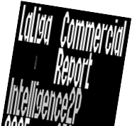 Widget Commercial Report 2025