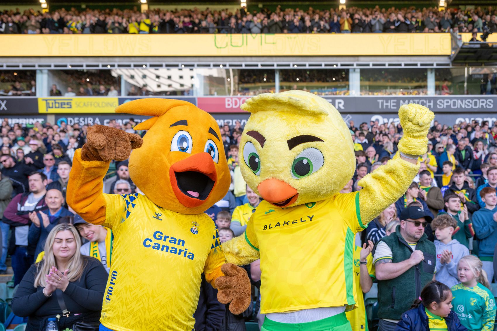 Gran Canaria UD Las Palmas Norwich City