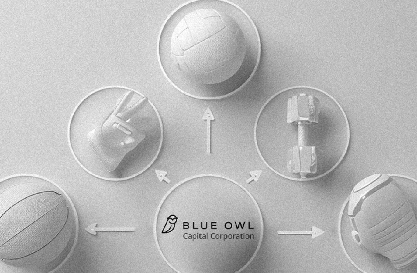 Blue Owl
