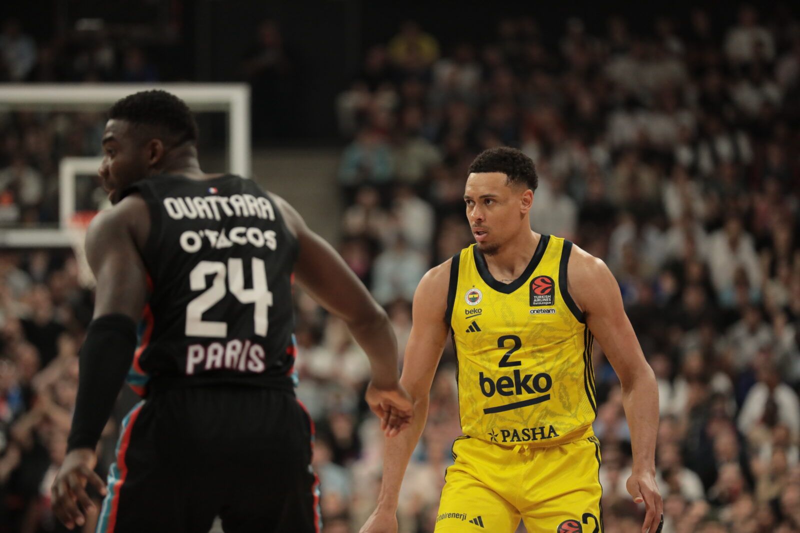 Fenerbahçe Euroliga 2024 2025 Fenerbahçe Euroliga 2024 2025