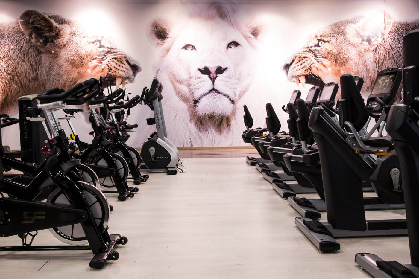 Gimnasio Nine Fitness Pinto